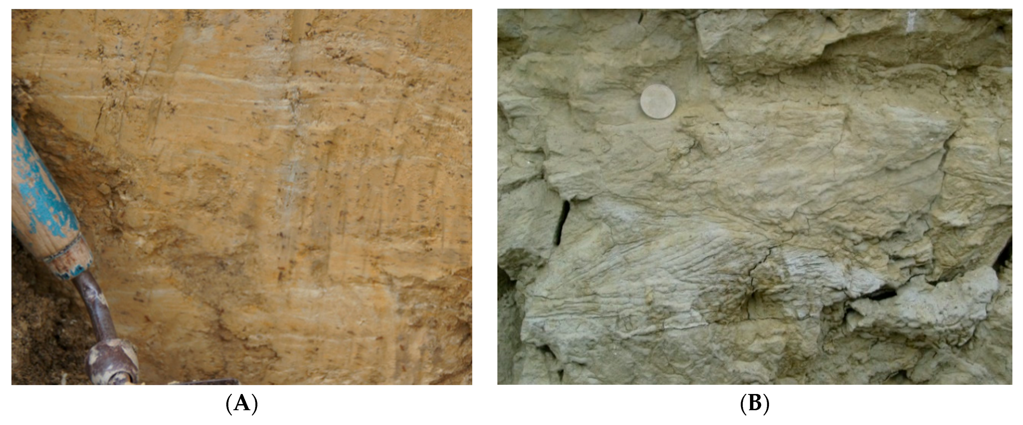 Quaternary 01 00014 g008 Quaternary 01 00014 g008