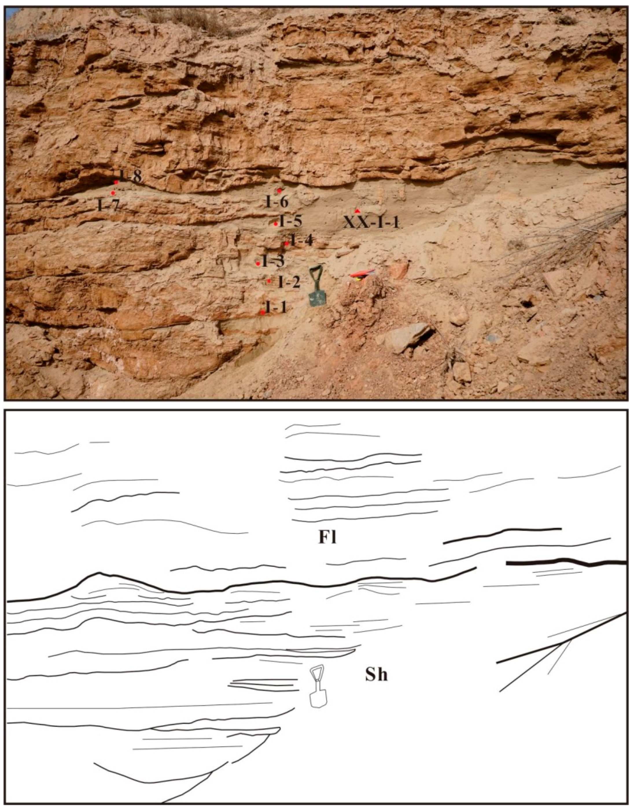 Quaternary 01 00016 g006