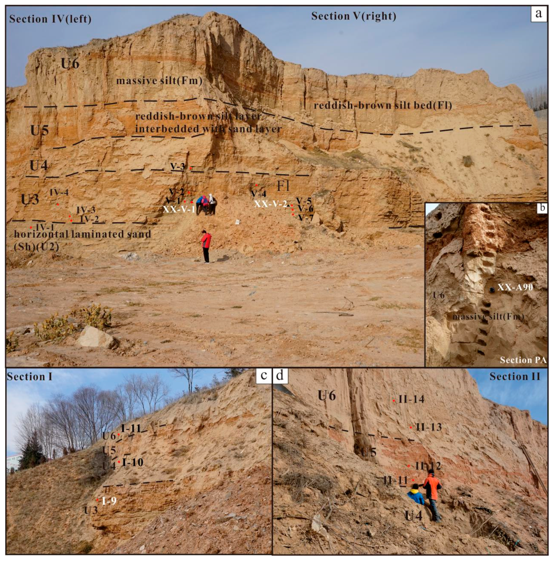 Quaternary 01 00016 g012