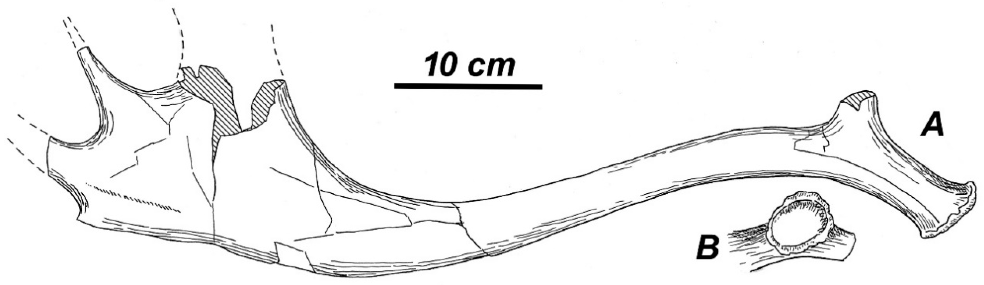 Quaternary 01 00017 g001 Quaternary 01 00017 g001