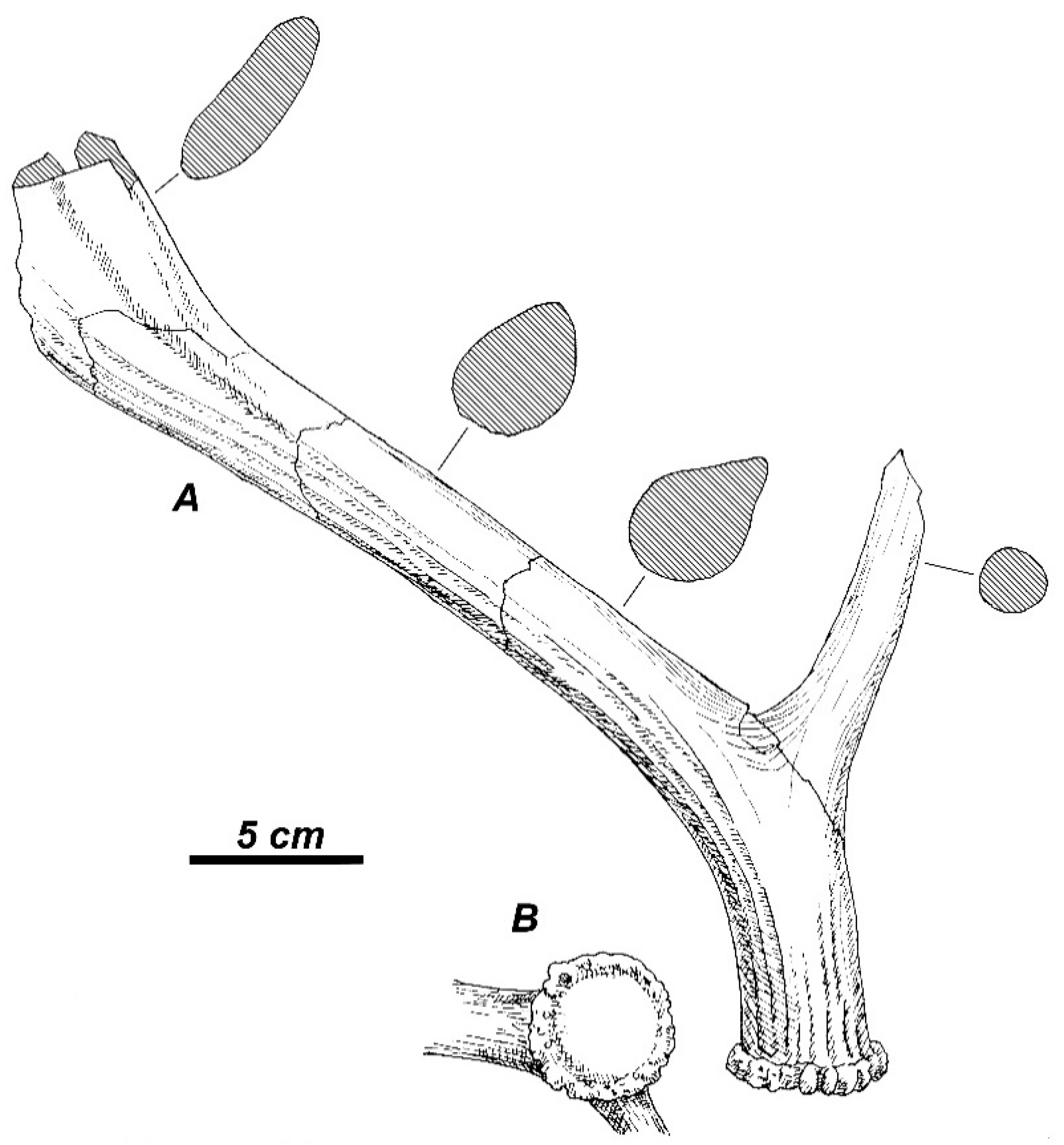 Quaternary 01 00017 g003 Quaternary 01 00017 g003