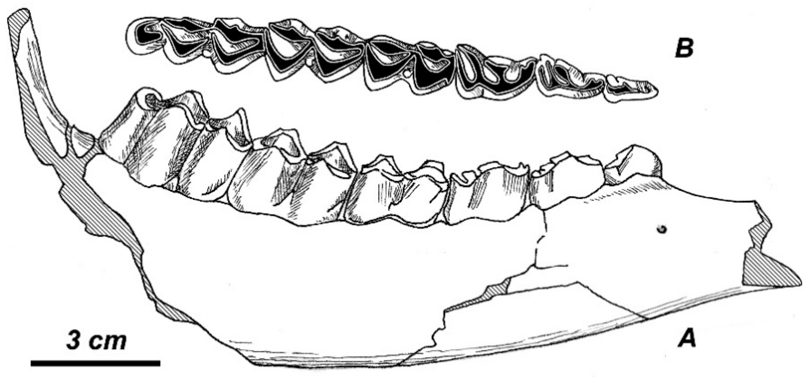 Quaternary 01 00017 g007 Quaternary 01 00017 g007