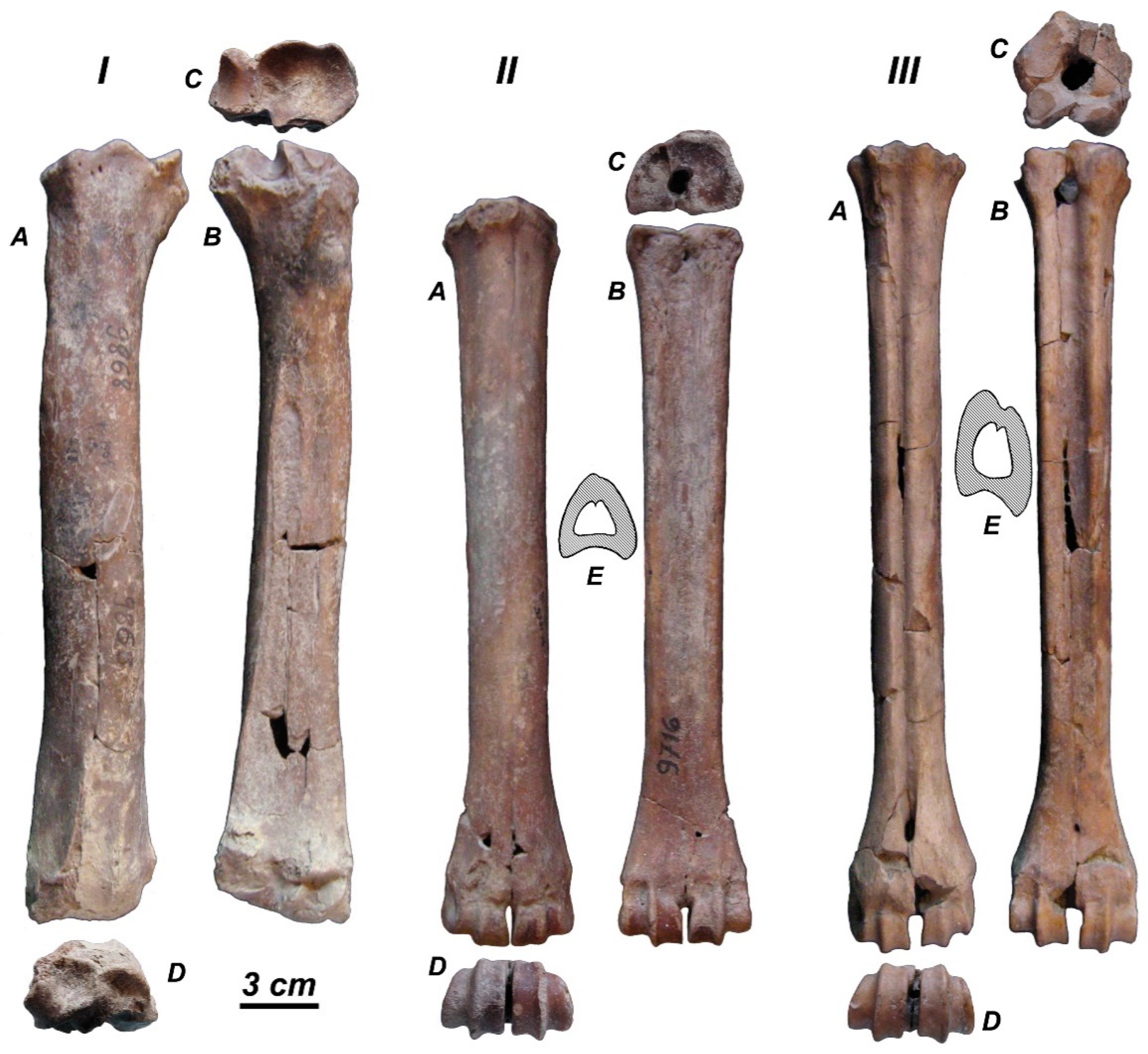 Quaternary 01 00017 g008 Quaternary 01 00017 g008