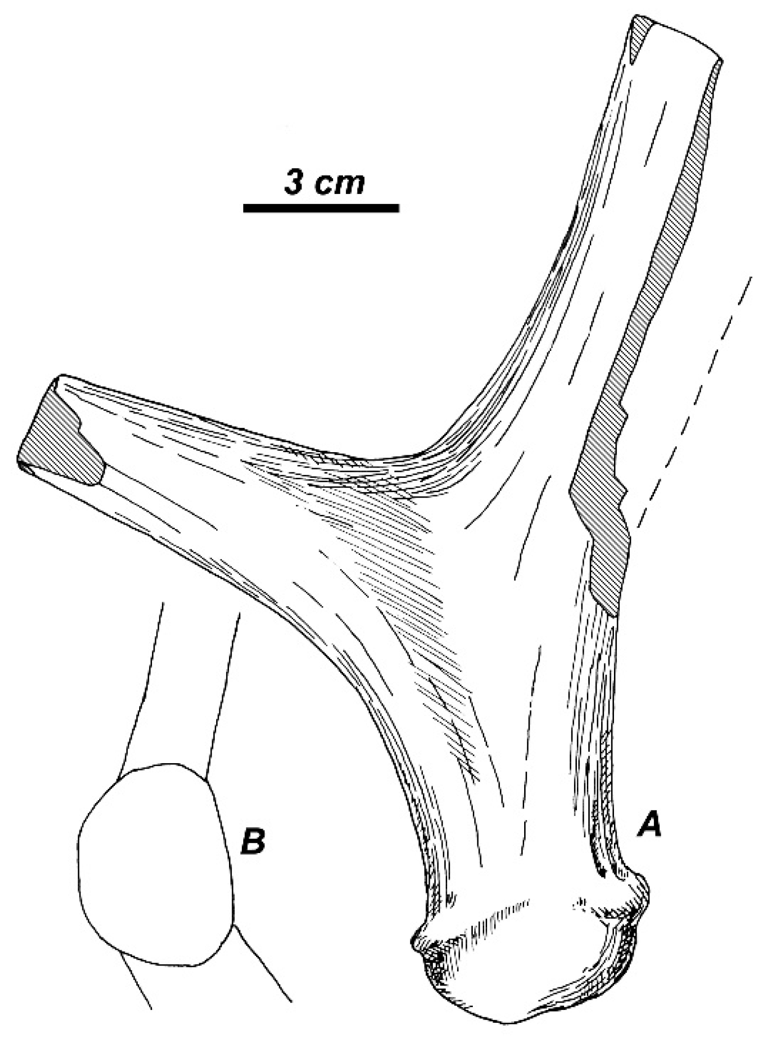 Quaternary 01 00017 g009 Quaternary 01 00017 g009