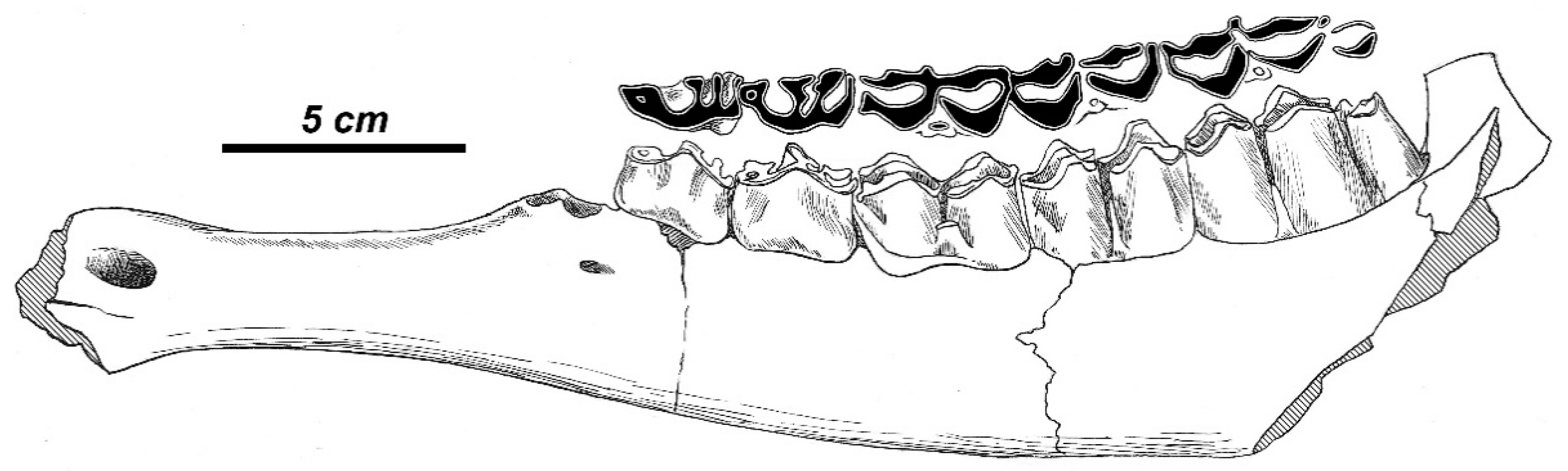 Quaternary 01 00017 g011 Quaternary 01 00017 g011