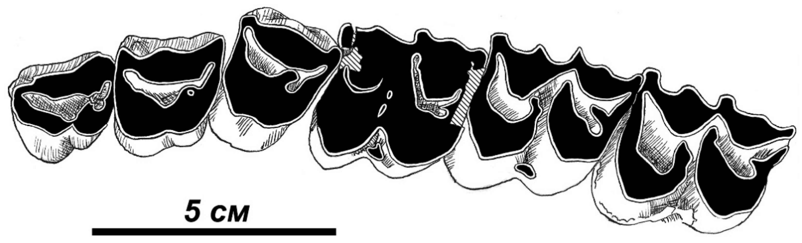 Quaternary 01 00017 g012 Quaternary 01 00017 g012