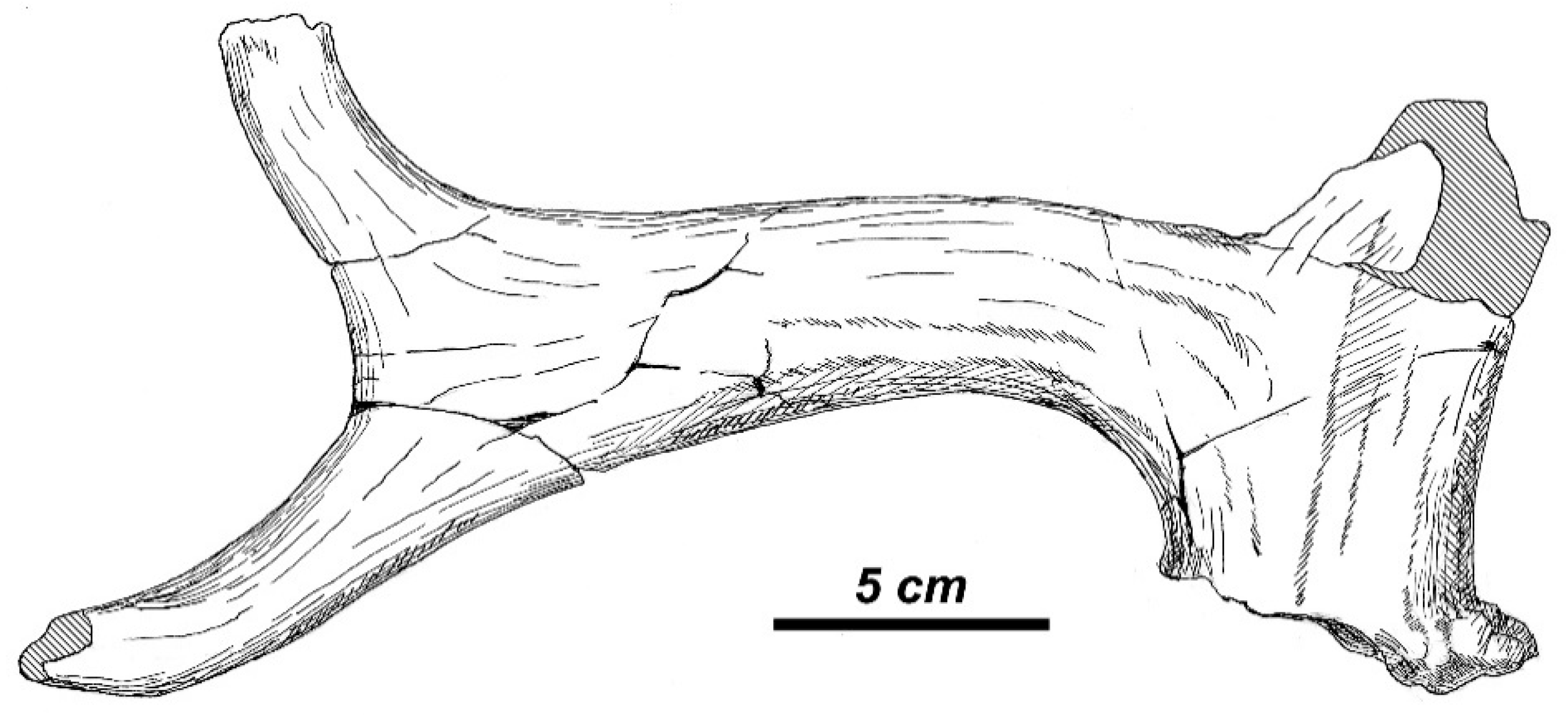 Quaternary 01 00017 g013 Quaternary 01 00017 g013