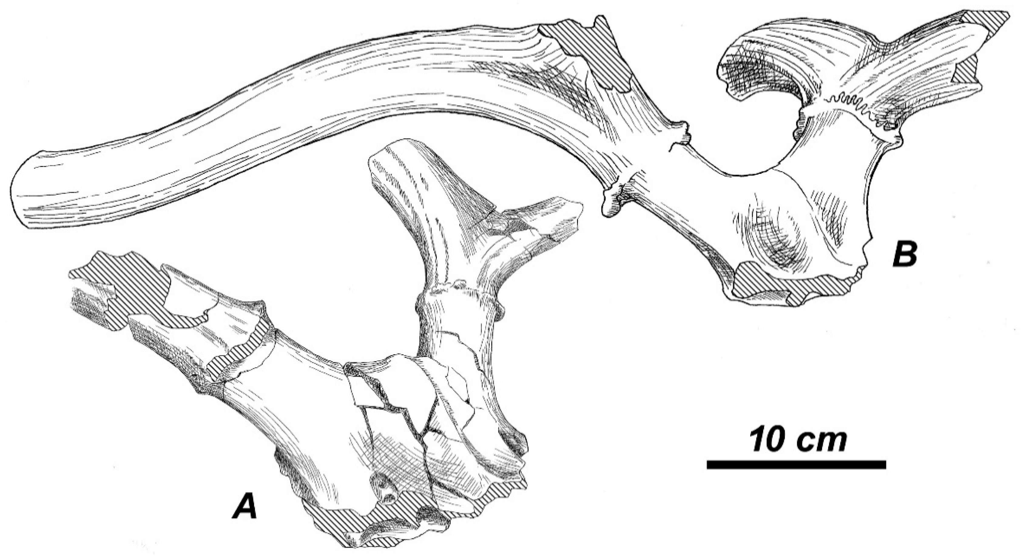 Quaternary 01 00017 g014 Quaternary 01 00017 g014