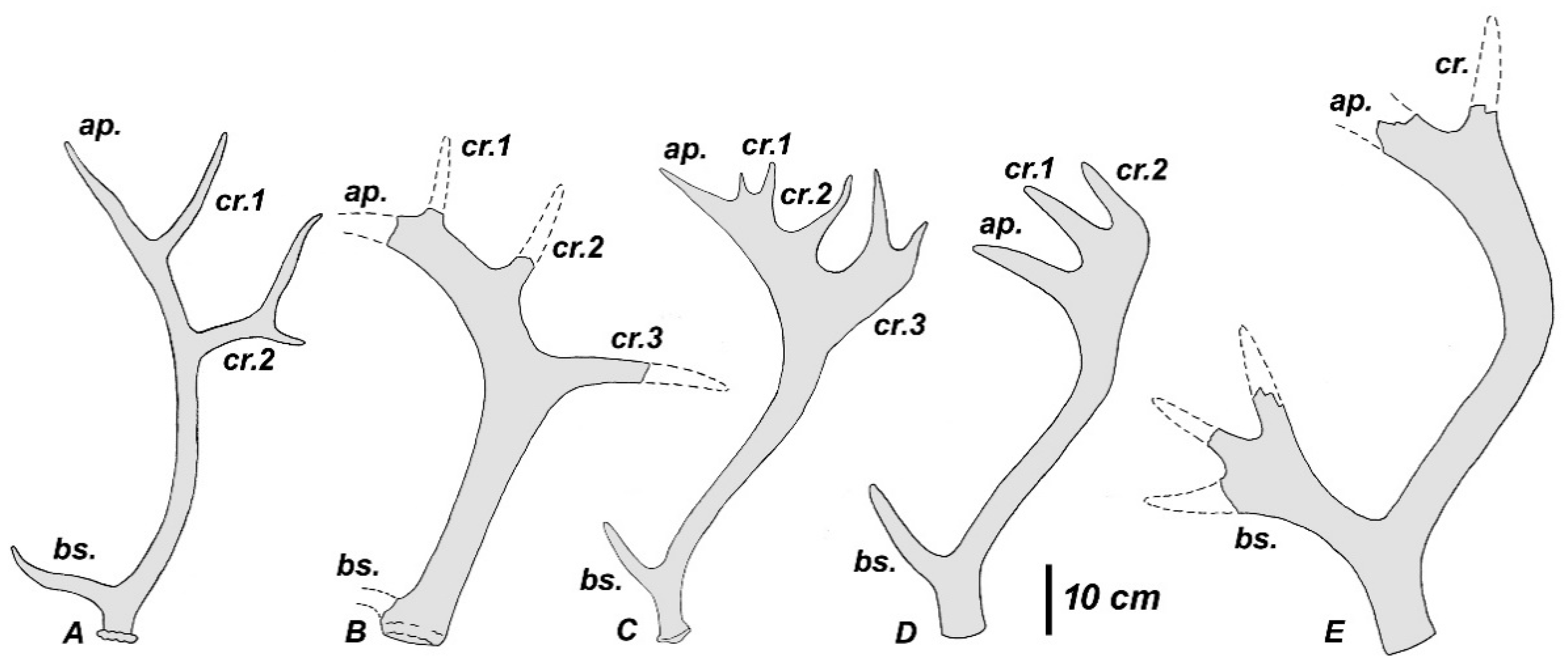 Quaternary 01 00017 g015 Quaternary 01 00017 g015