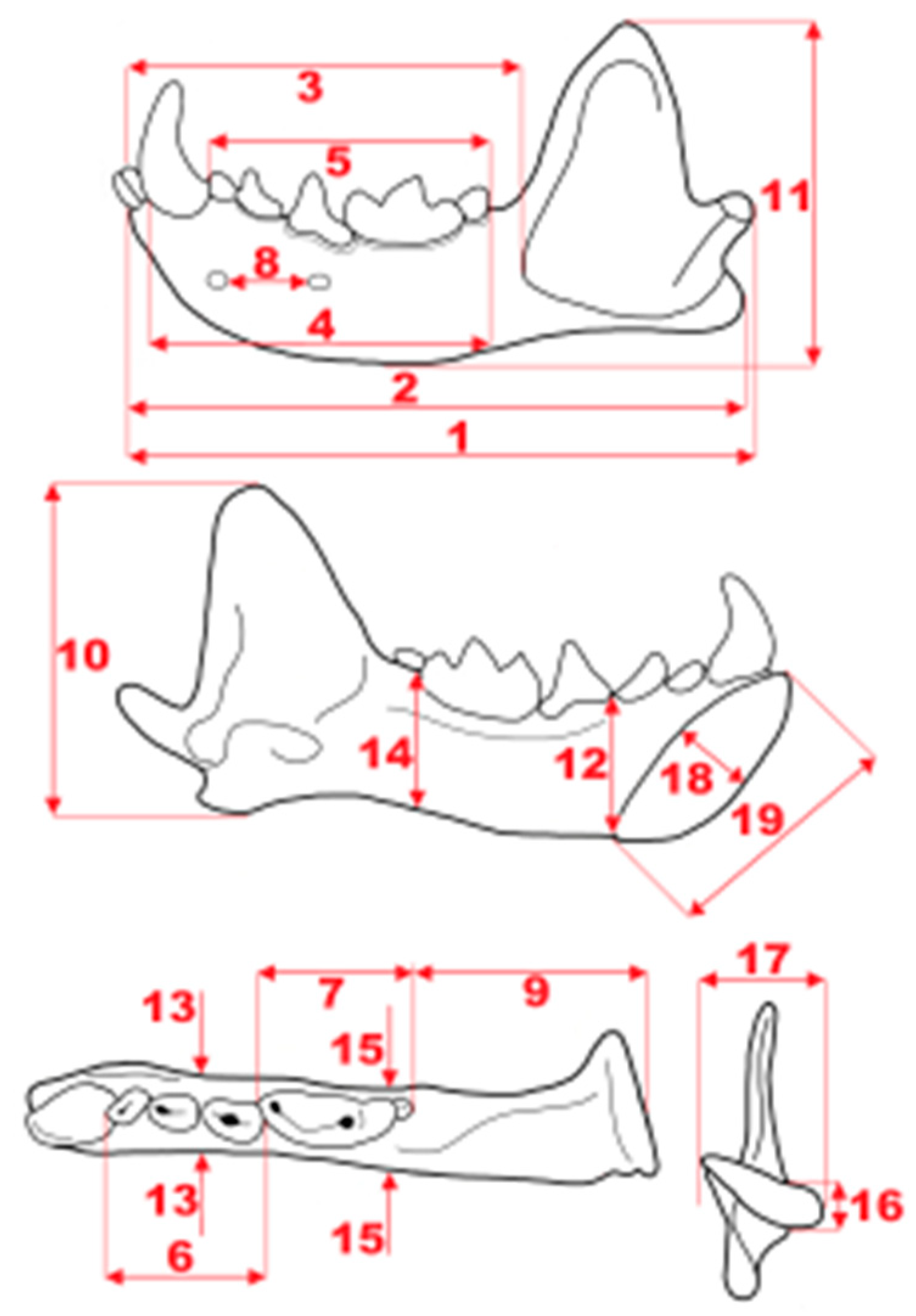 Quaternary 01 00019 g004