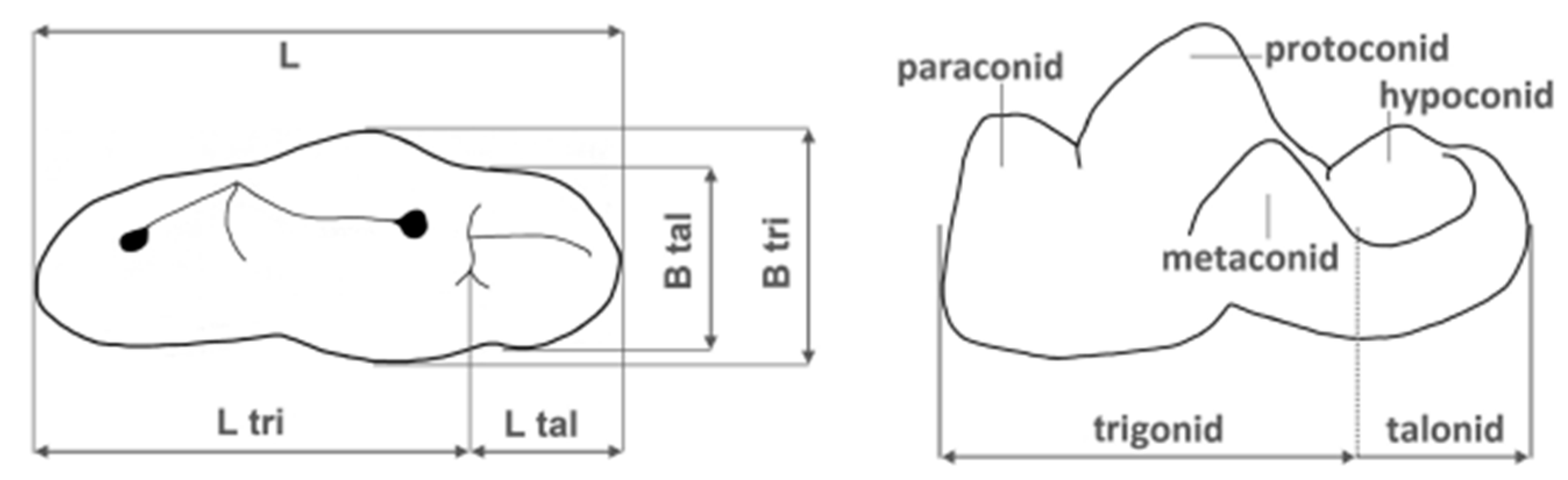 Quaternary 01 00019 g005