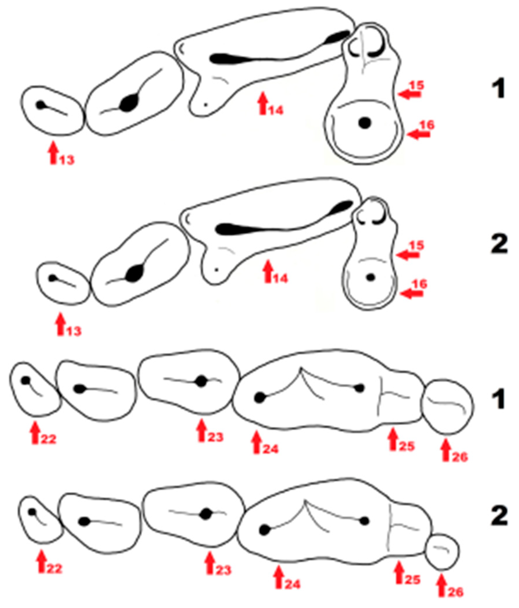 Quaternary 01 00019 g007