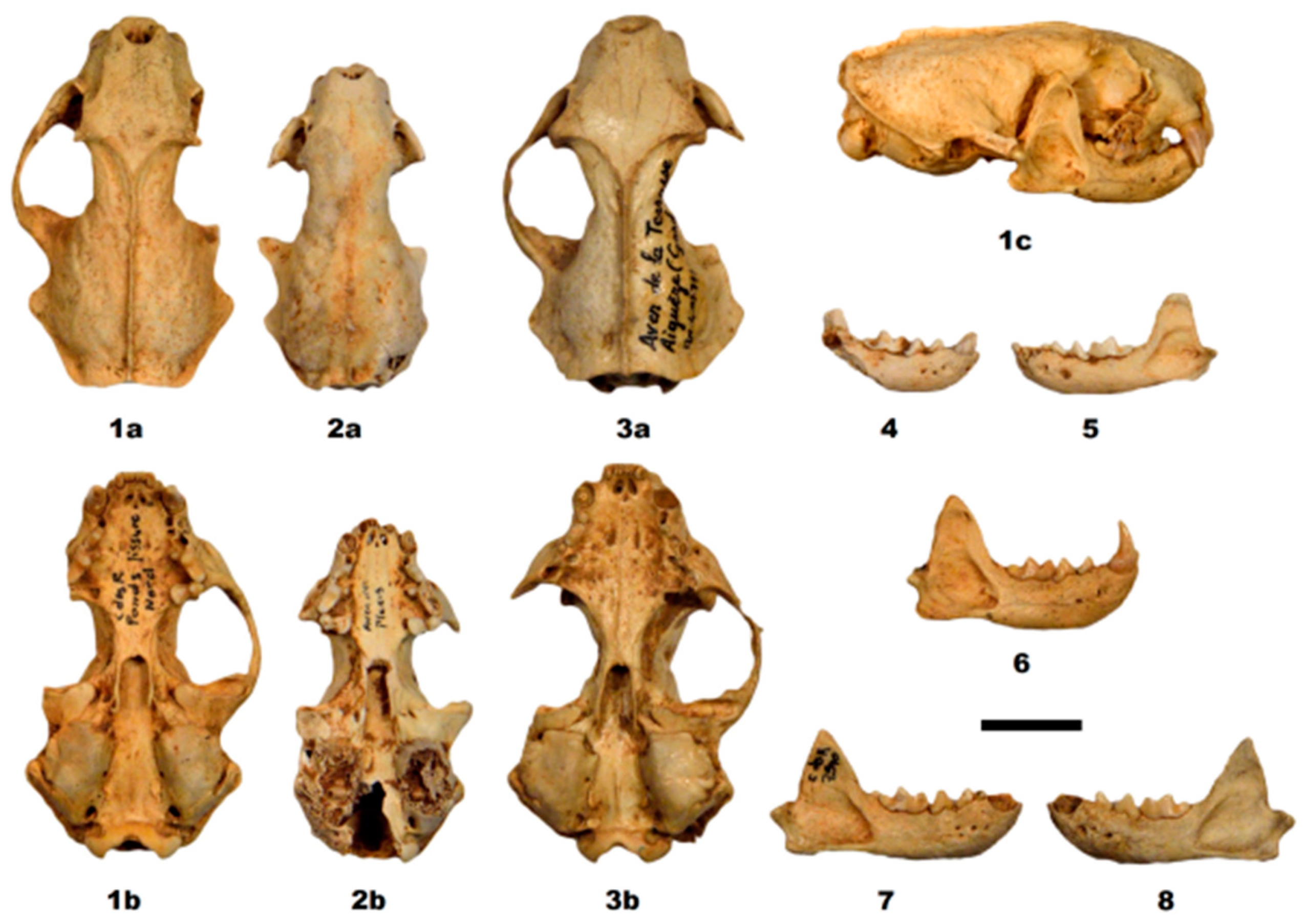 Quaternary 01 00019 g008