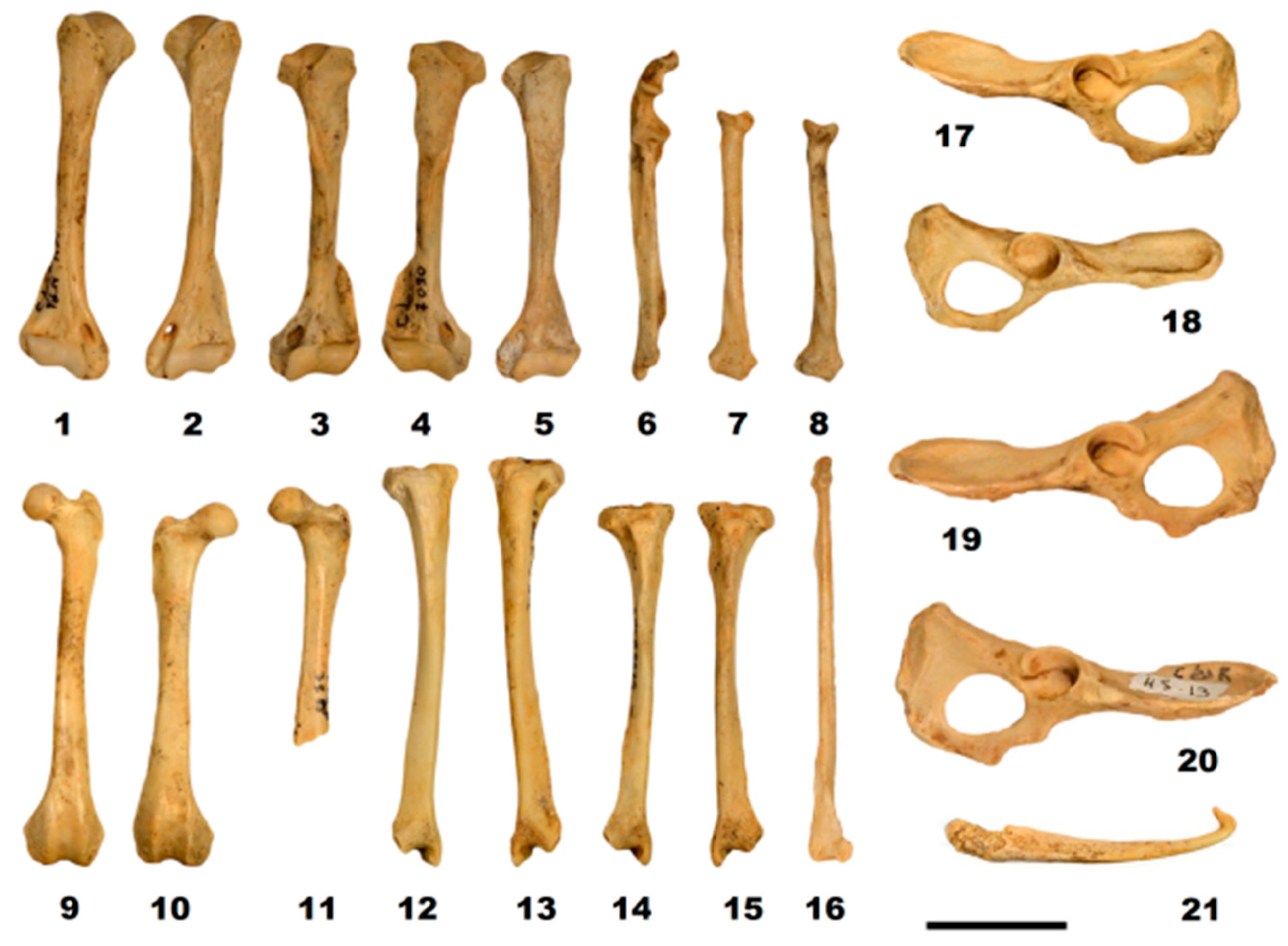 Quaternary 01 00019 g009