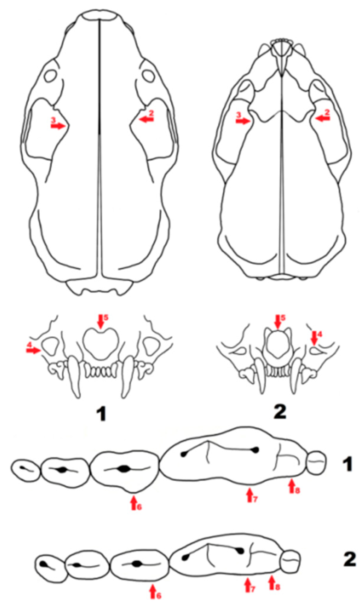 Quaternary 01 00019 g012
