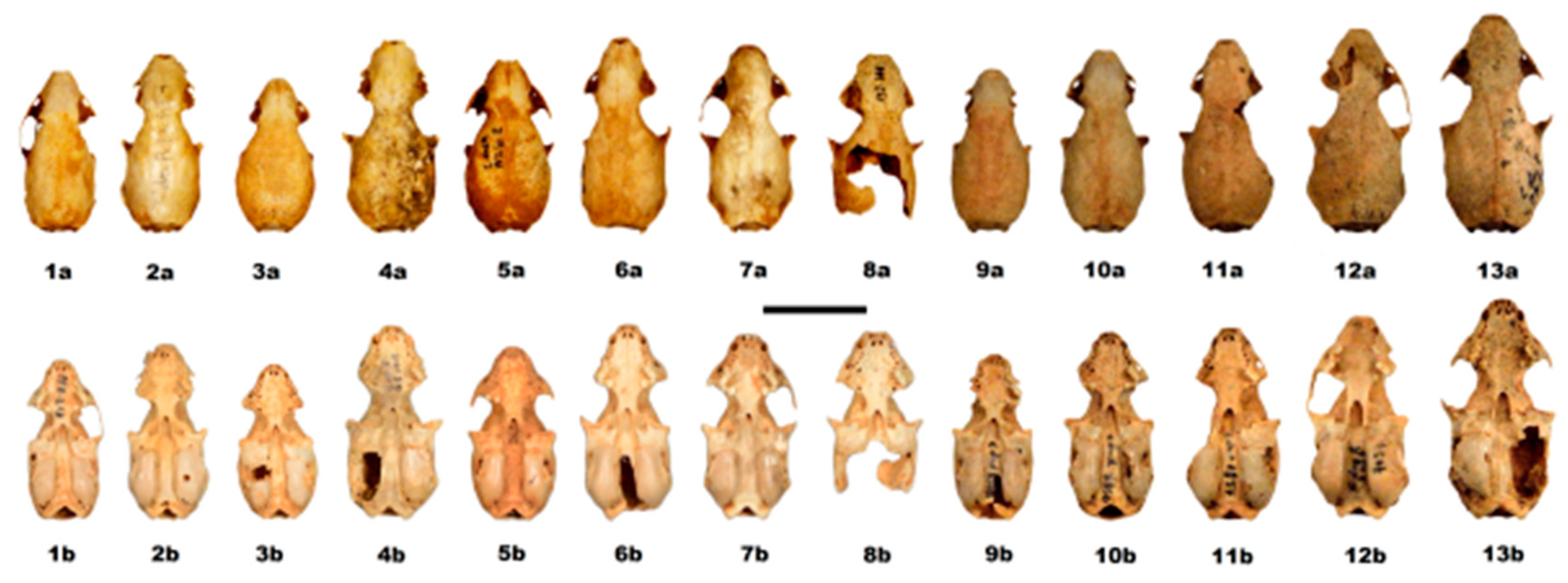 Quaternary 01 00019 g013