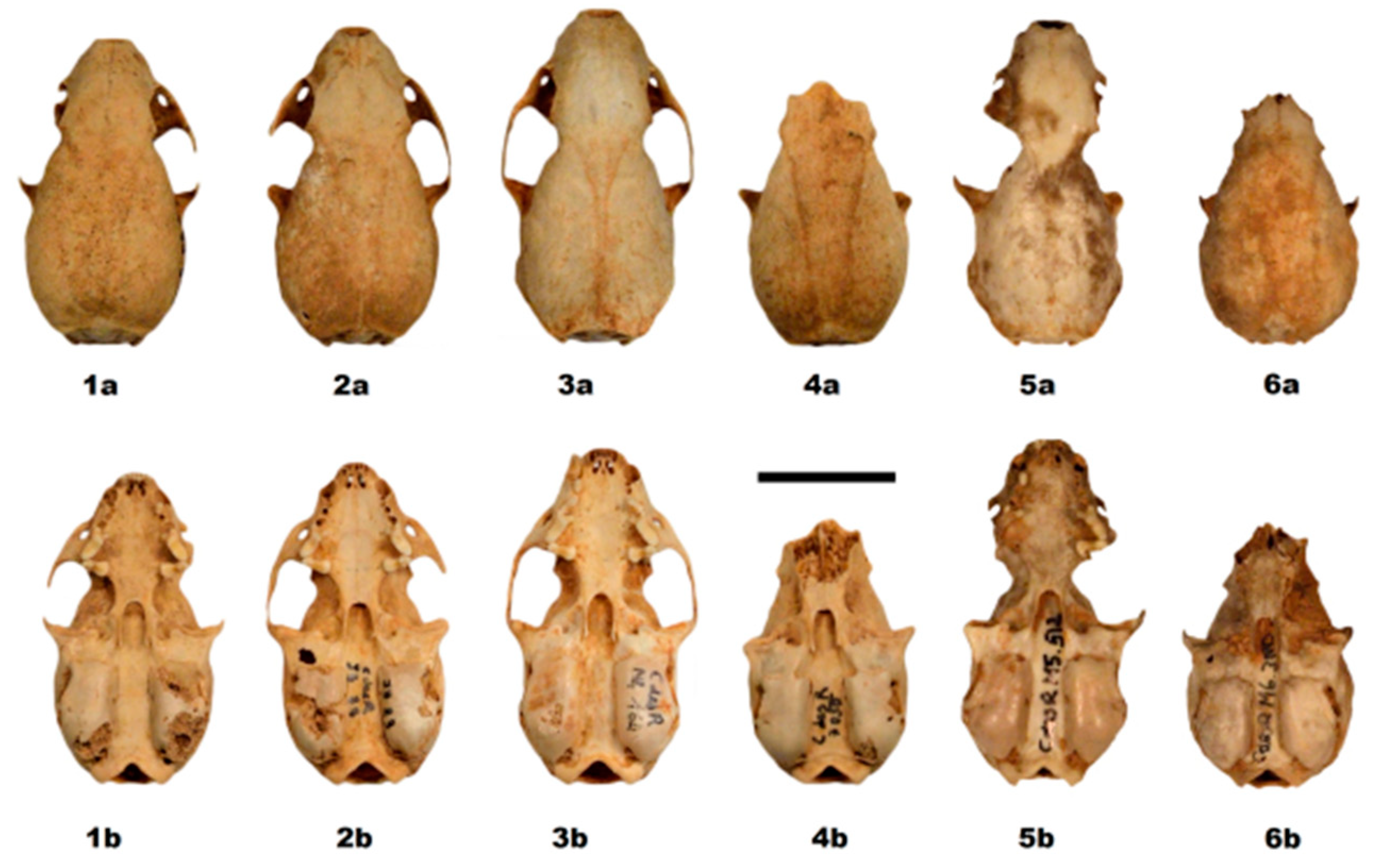 Quaternary 01 00019 g014