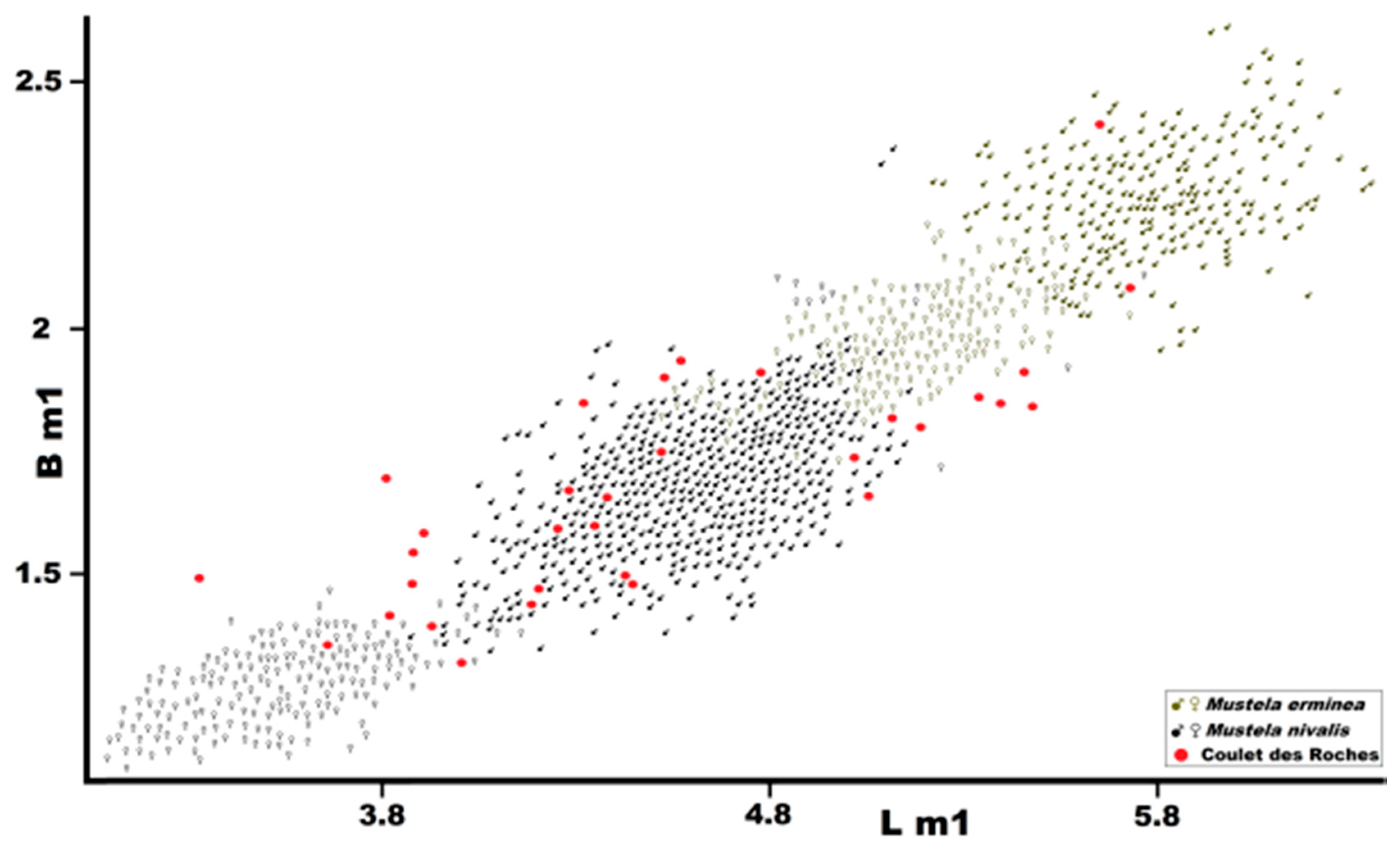 Quaternary 01 00019 g016