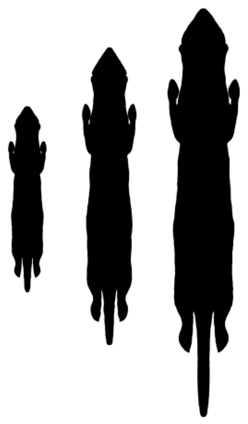 Quaternary 01 00019 g017