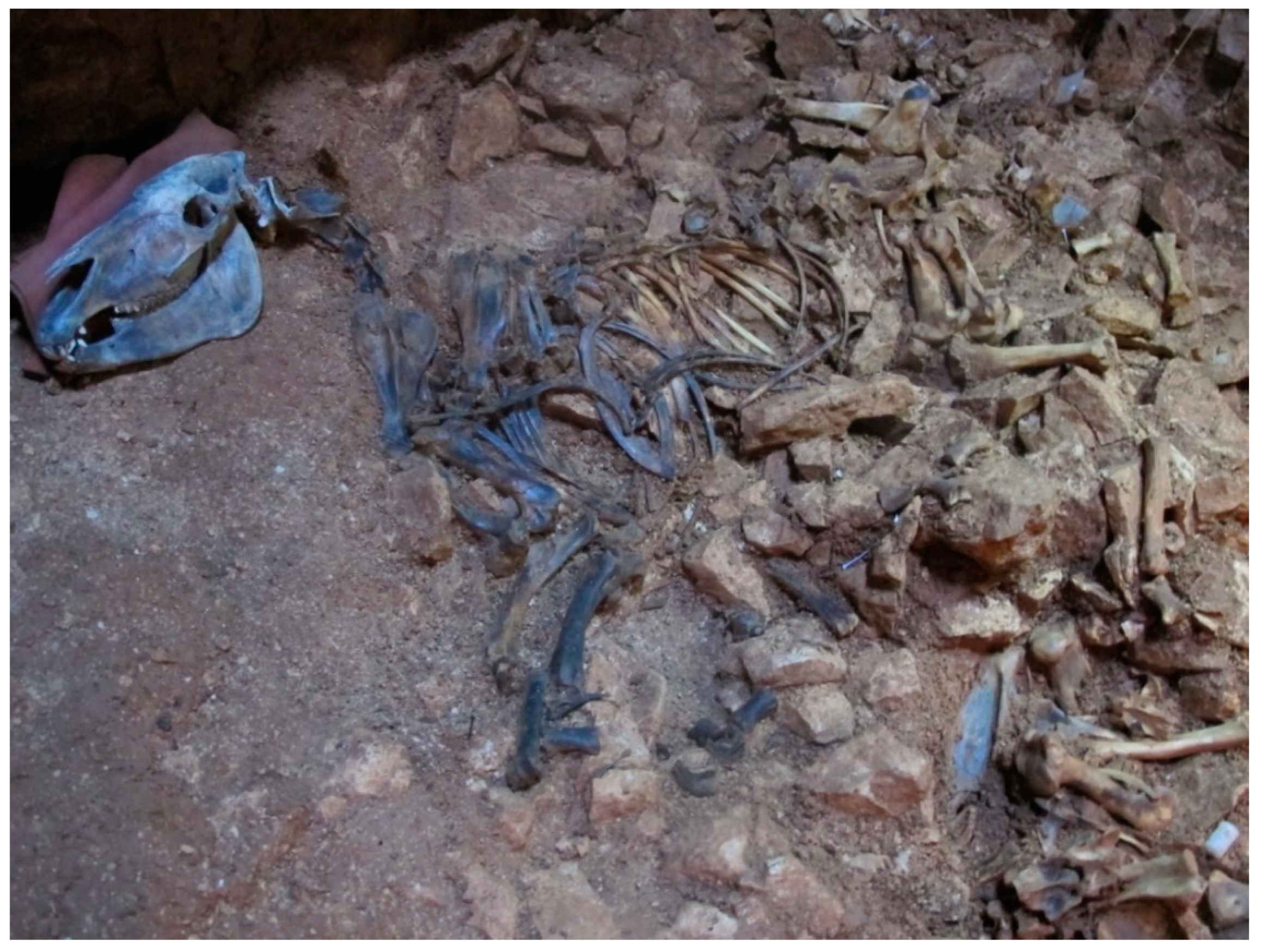 Quaternary 01 00019 g019