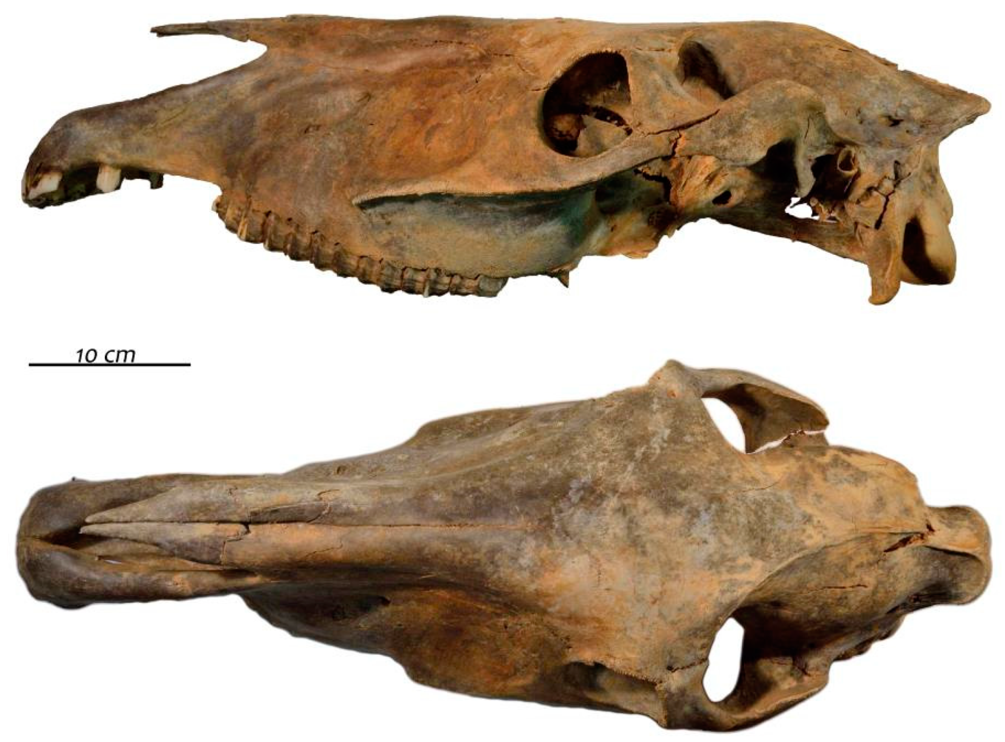 Quaternary 01 00019 g020