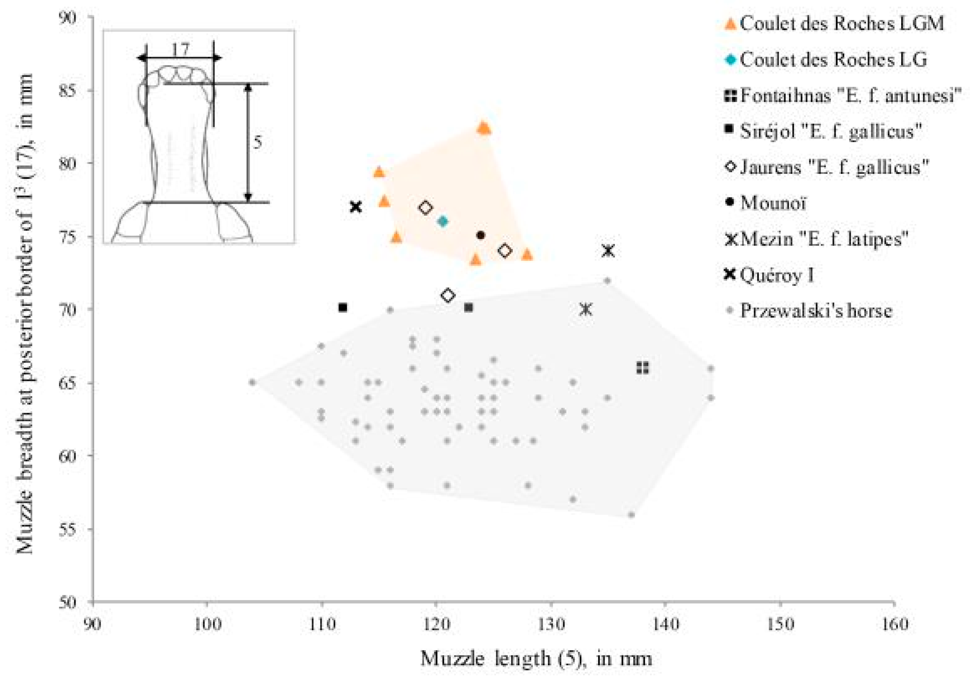 Quaternary 01 00019 g021