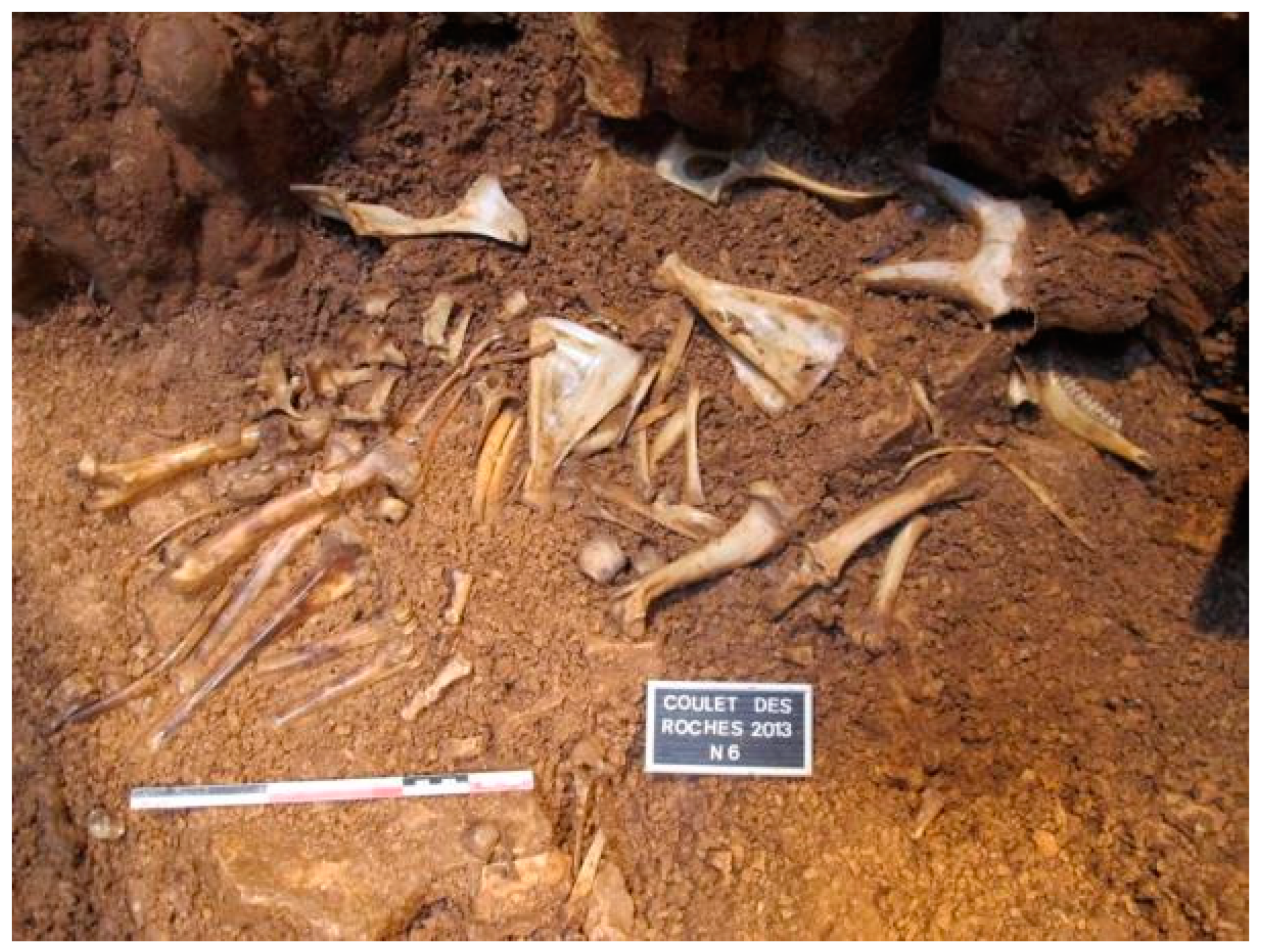 Quaternary 01 00019 g024