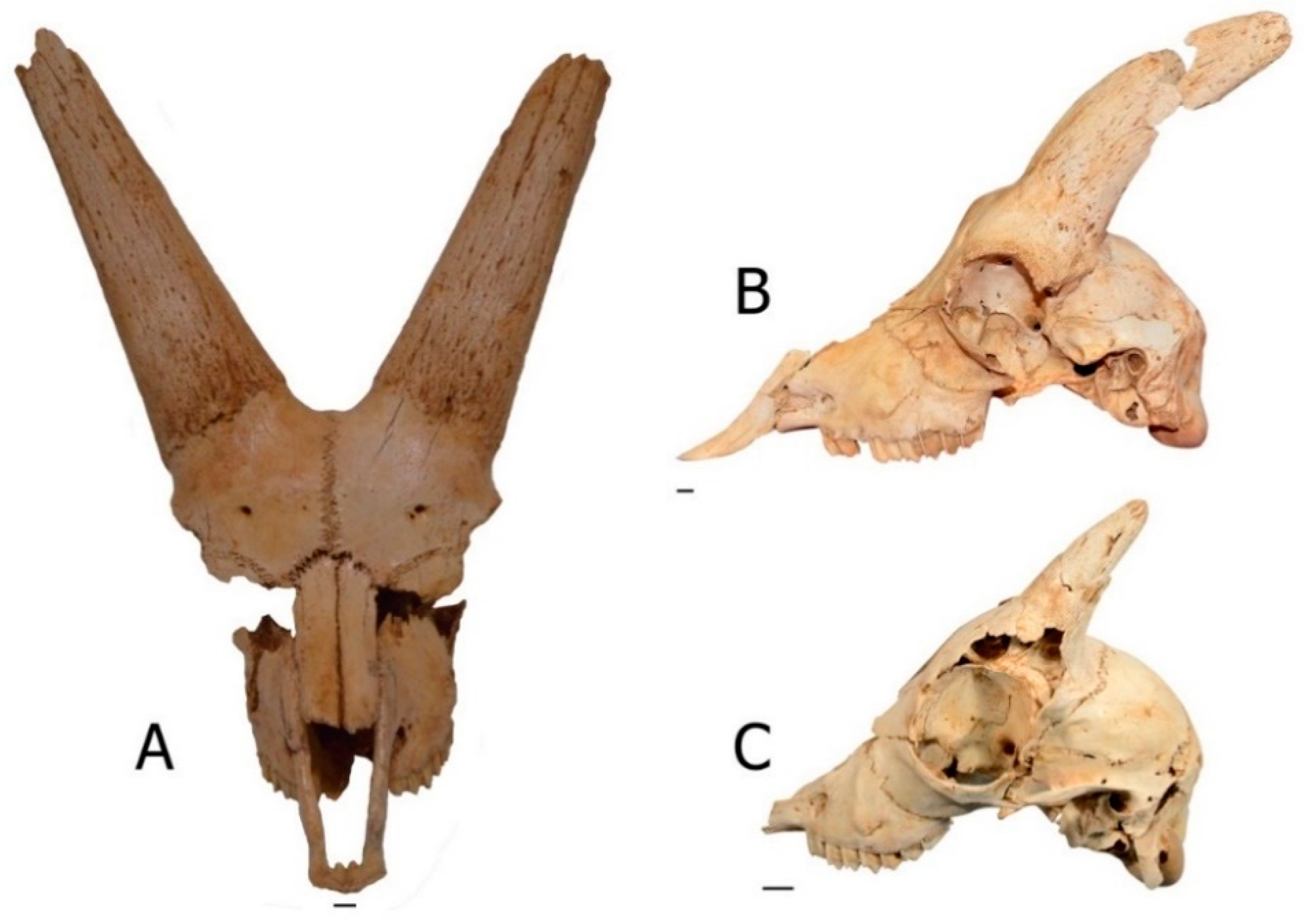 Quaternary 01 00019 g025