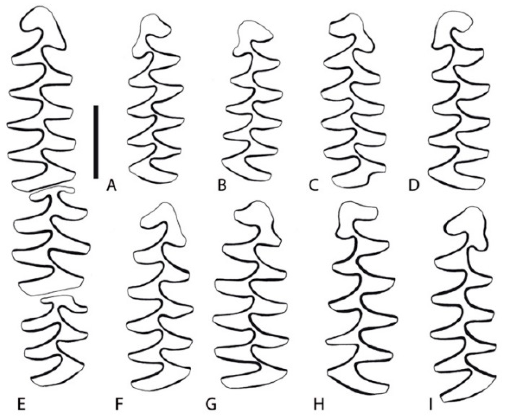 Quaternary 01 00019 g026