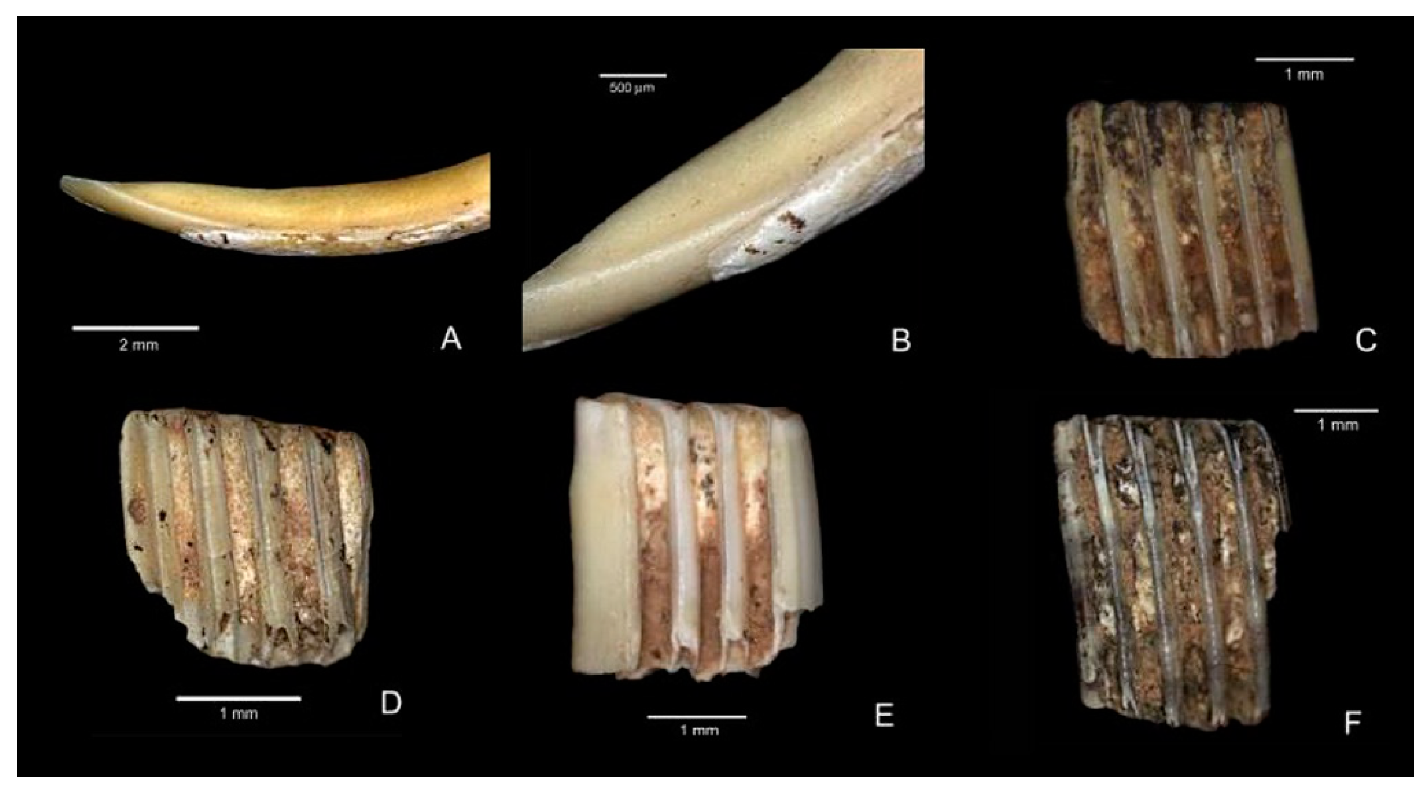 Quaternary 01 00019 g028