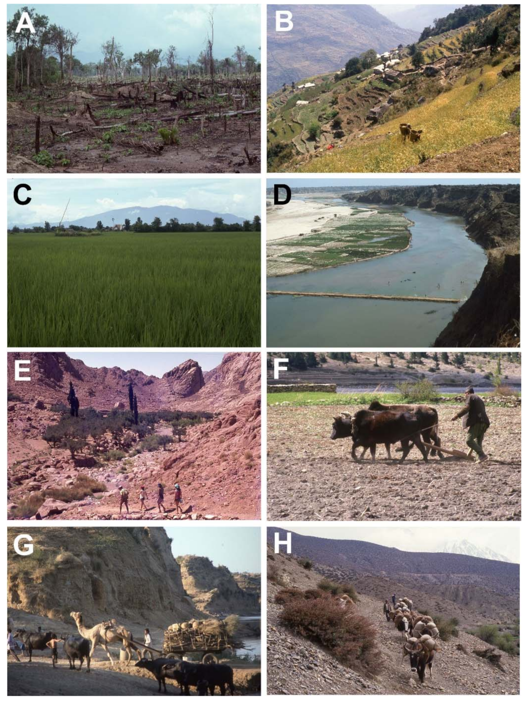 Quaternary 01 00021 g001