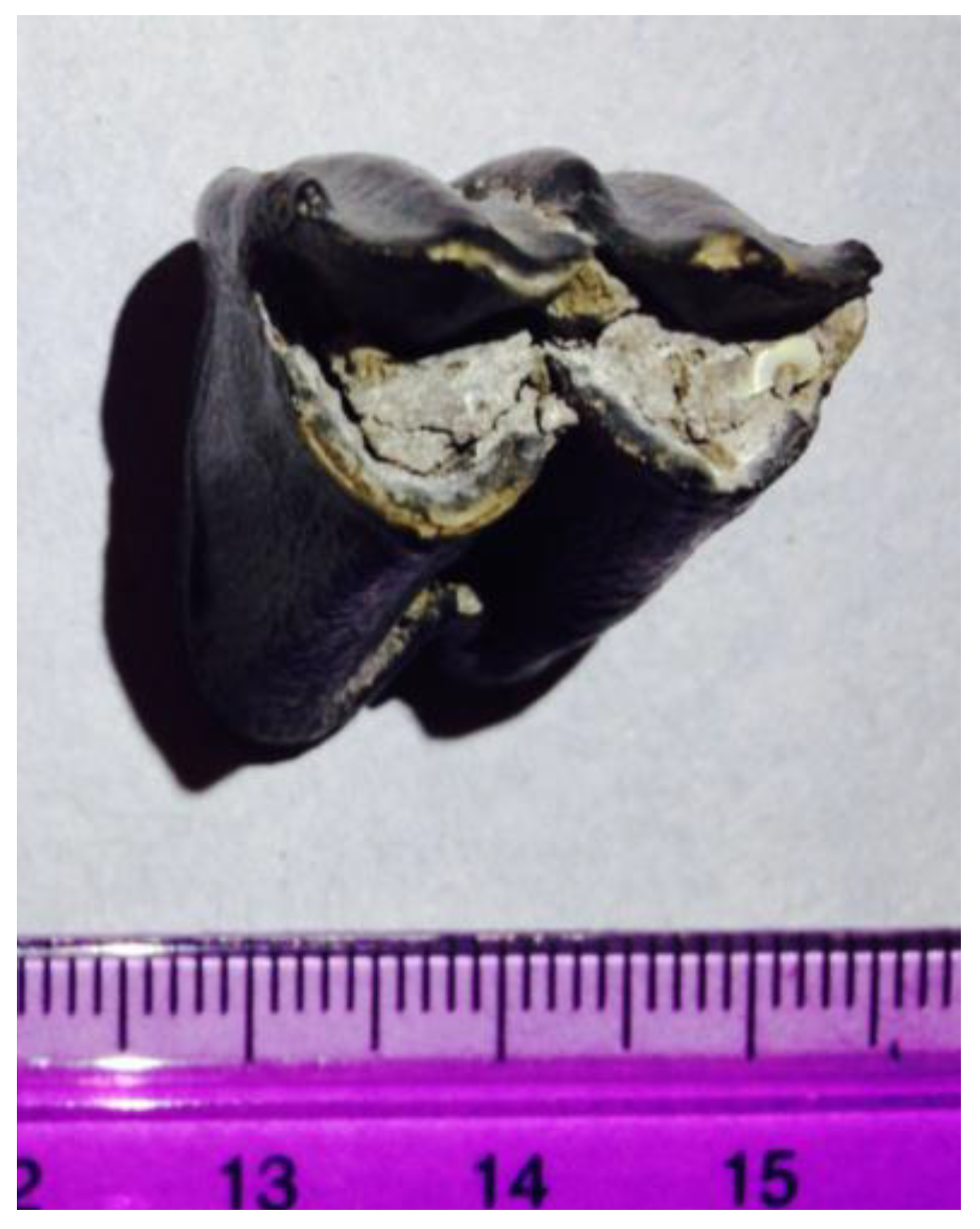 Quaternary 01 00022 g005