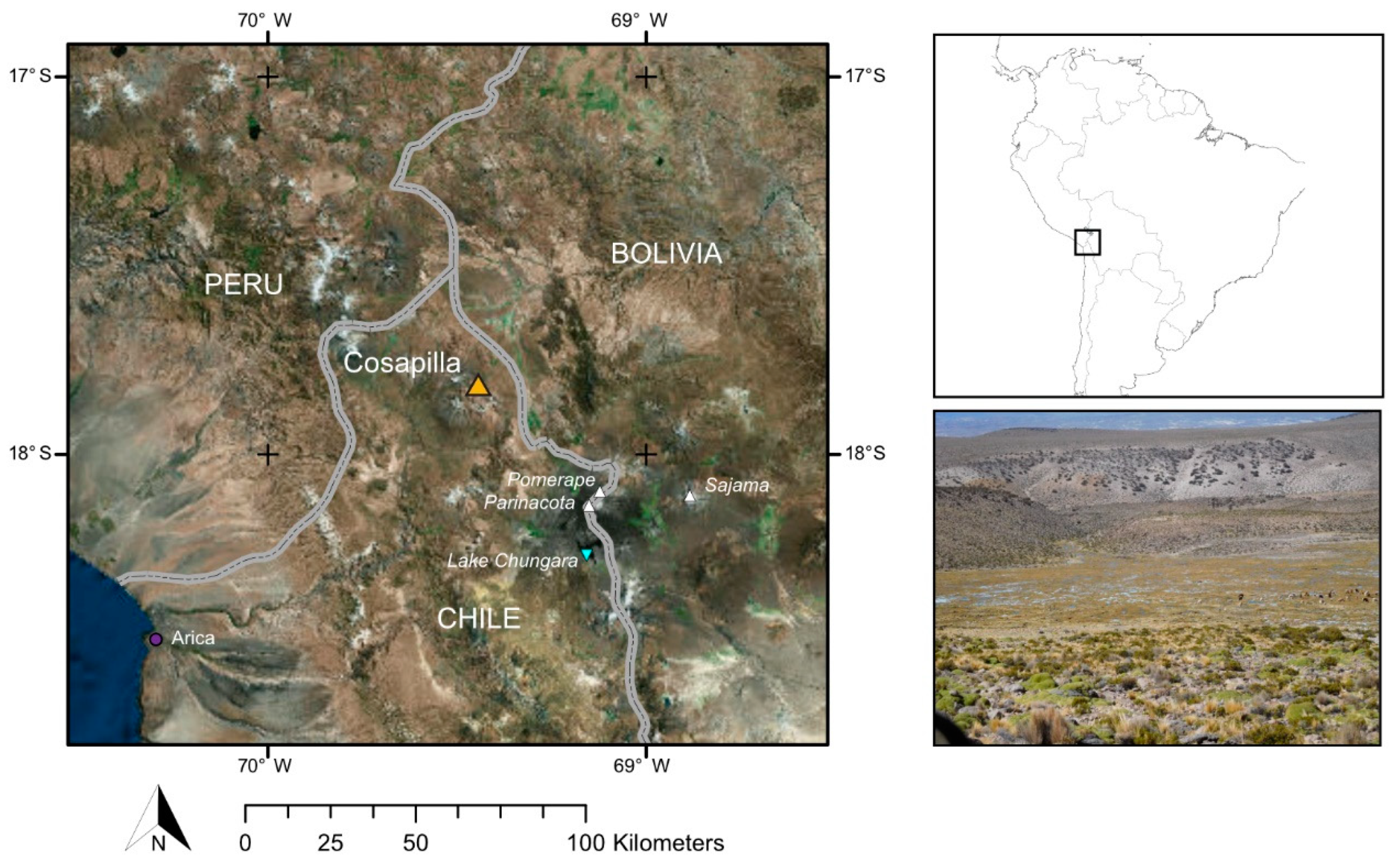 Quaternary 01 00032 g001
