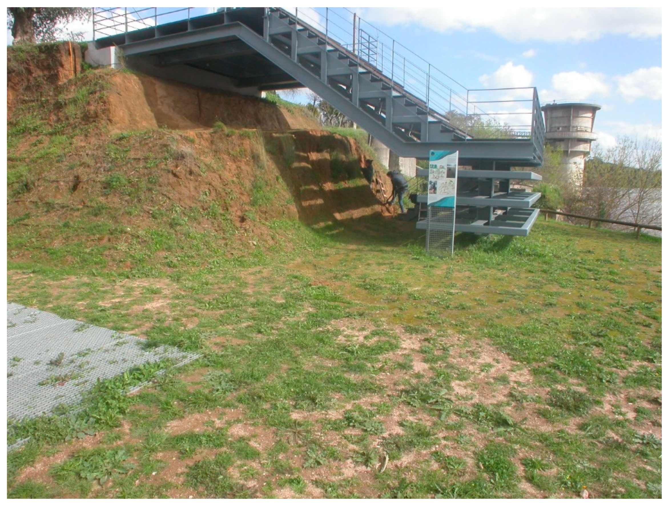 Quaternary 02 00003 g003 Quaternary 02 00003 g003