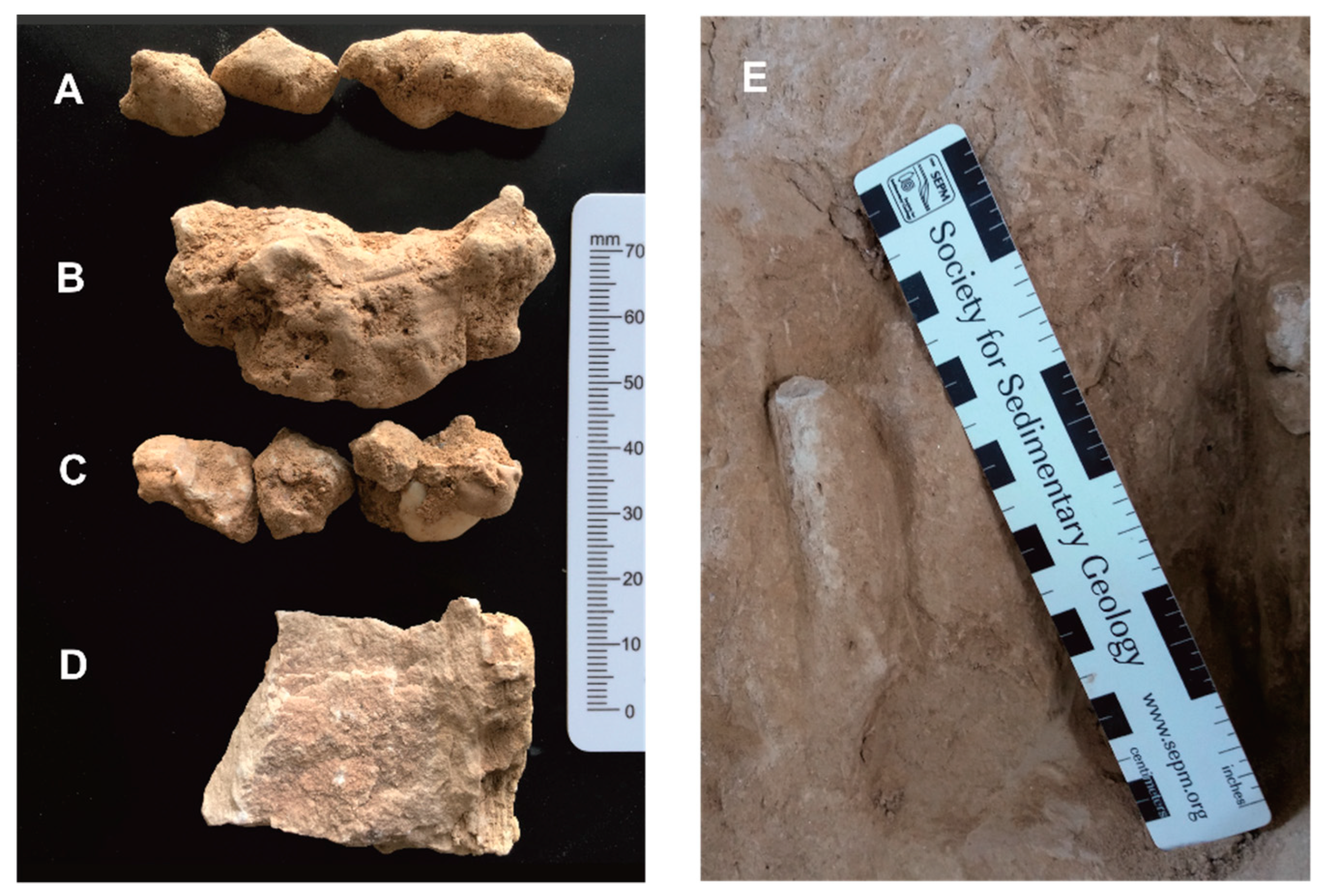 Quaternary 02 00003 g005 Quaternary 02 00003 g005