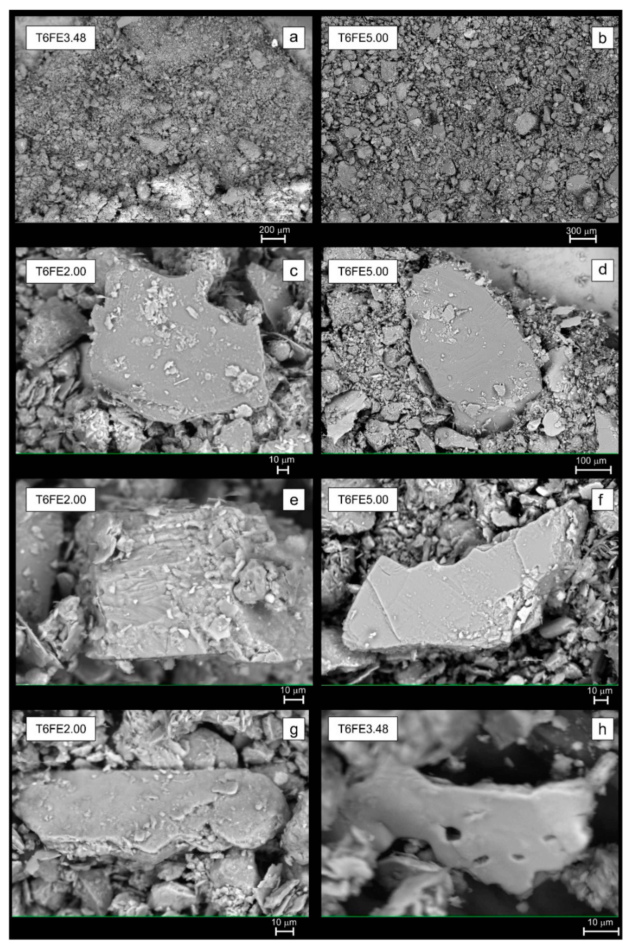 Quaternary 02 00003 g006 Quaternary 02 00003 g006