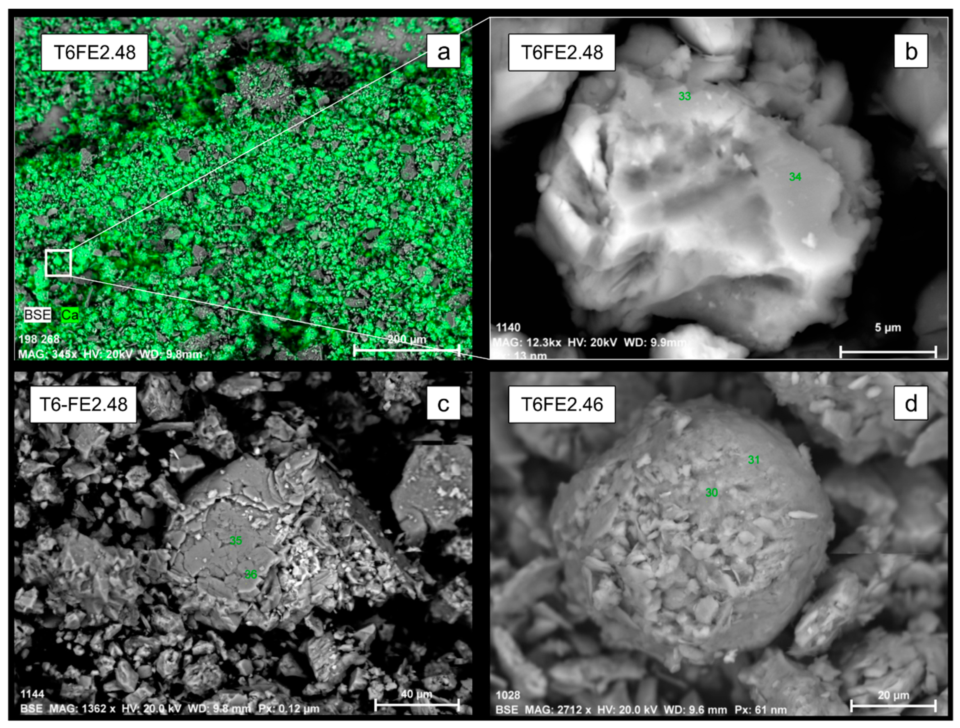 Quaternary 02 00003 g007 Quaternary 02 00003 g007