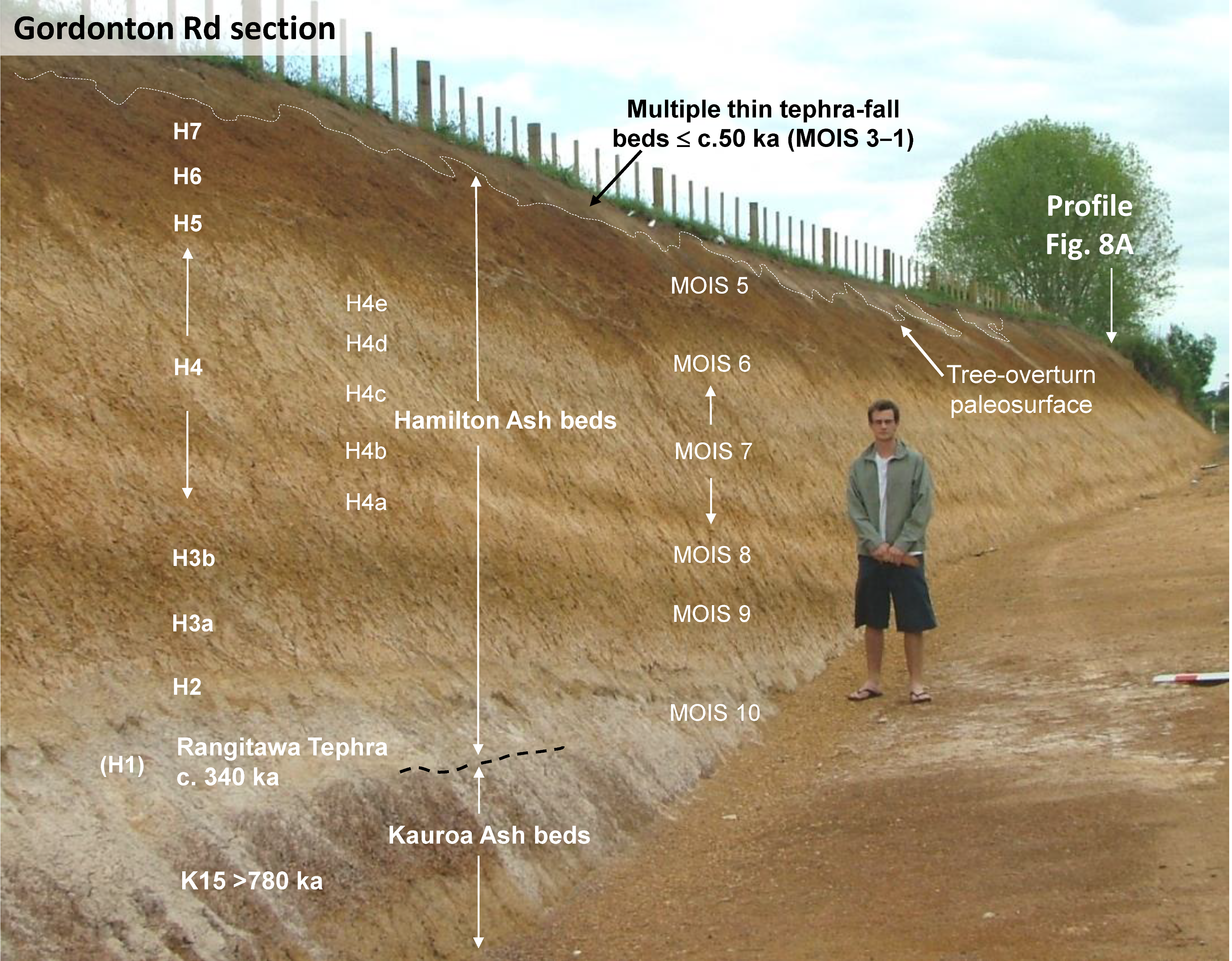 Quaternary 02 00009 g003