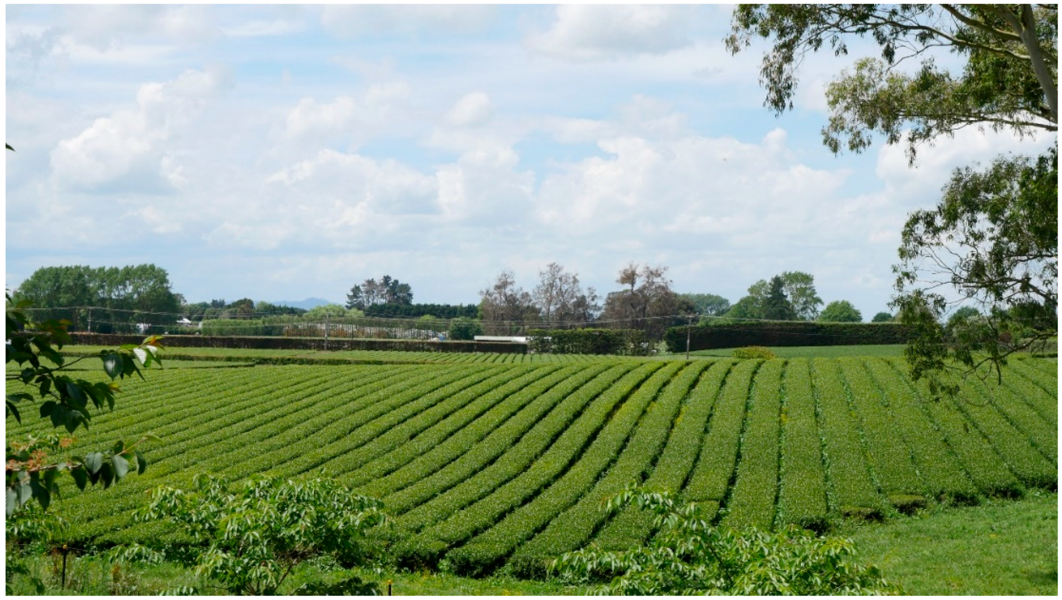 Quaternary 02 00009 g004