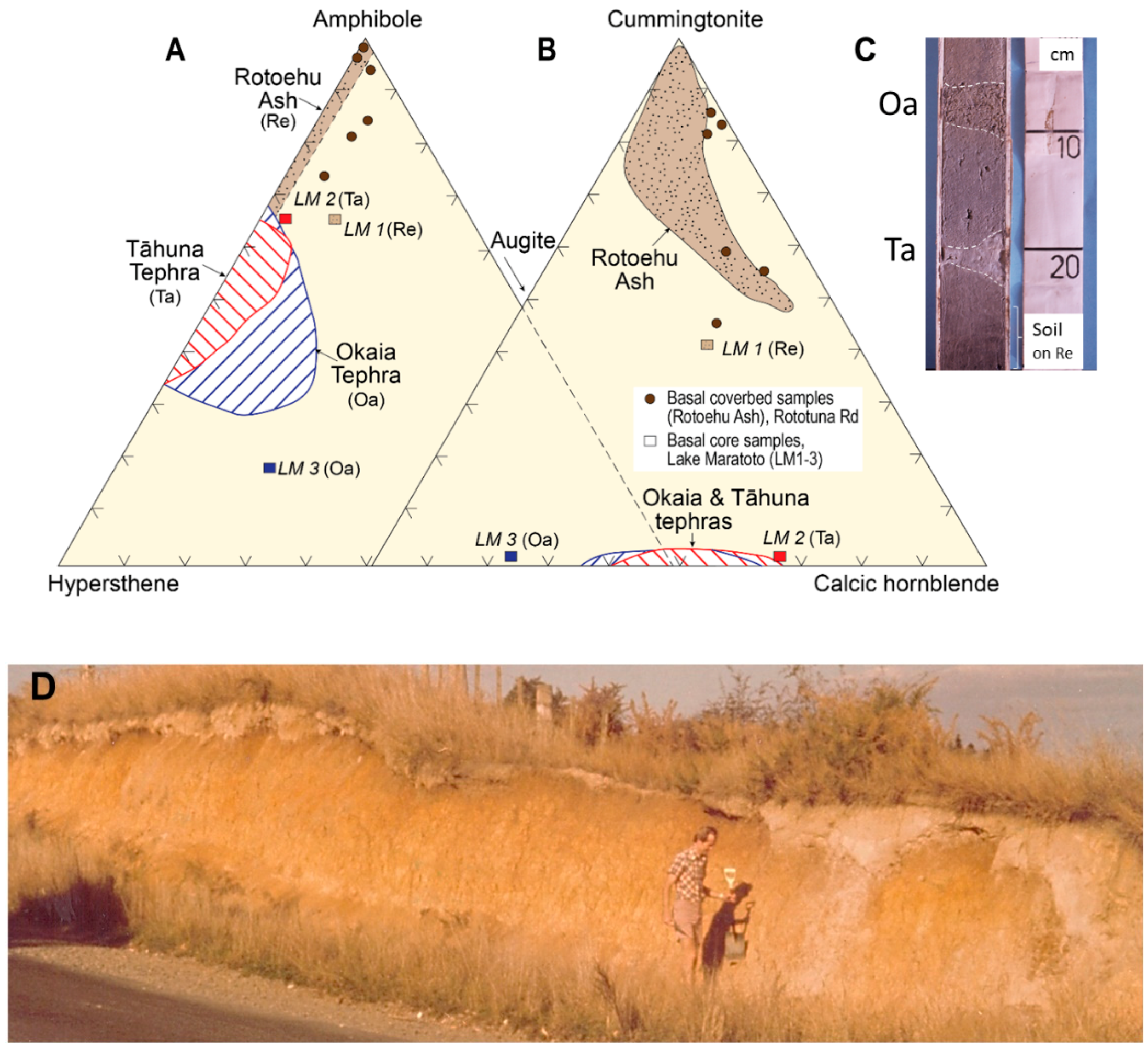 Quaternary 02 00009 g006