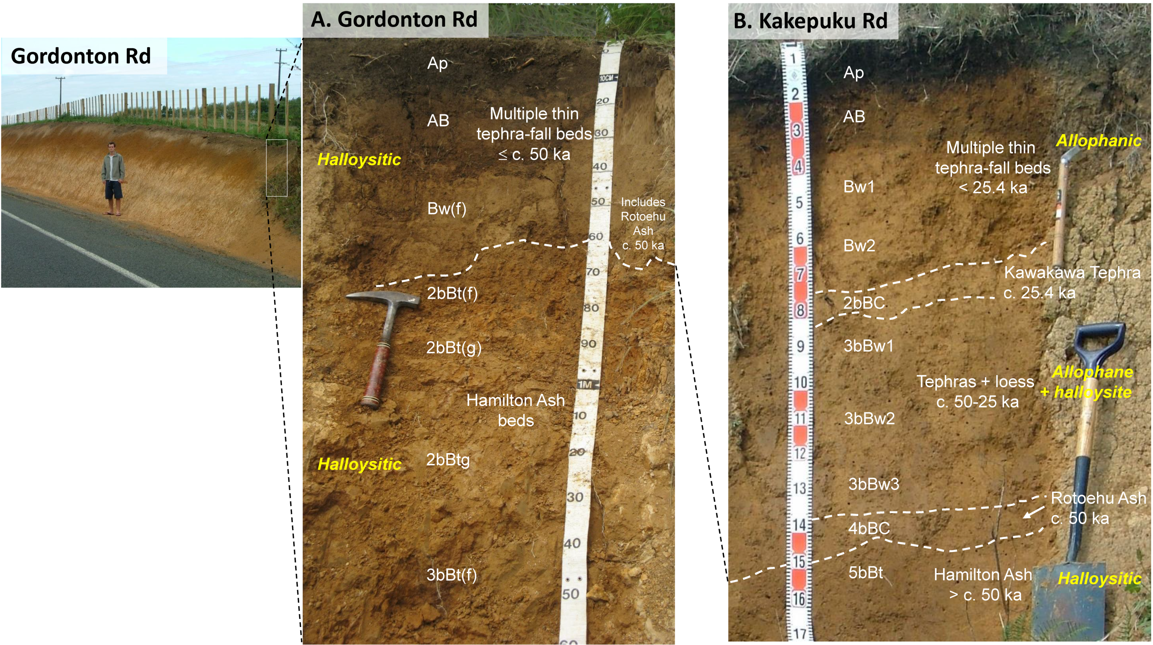 Quaternary 02 00009 g008