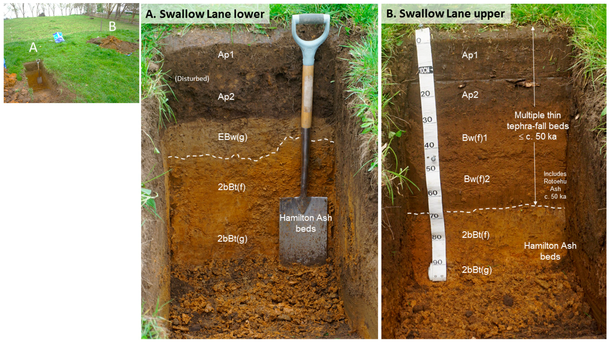 Quaternary 02 00009 g009