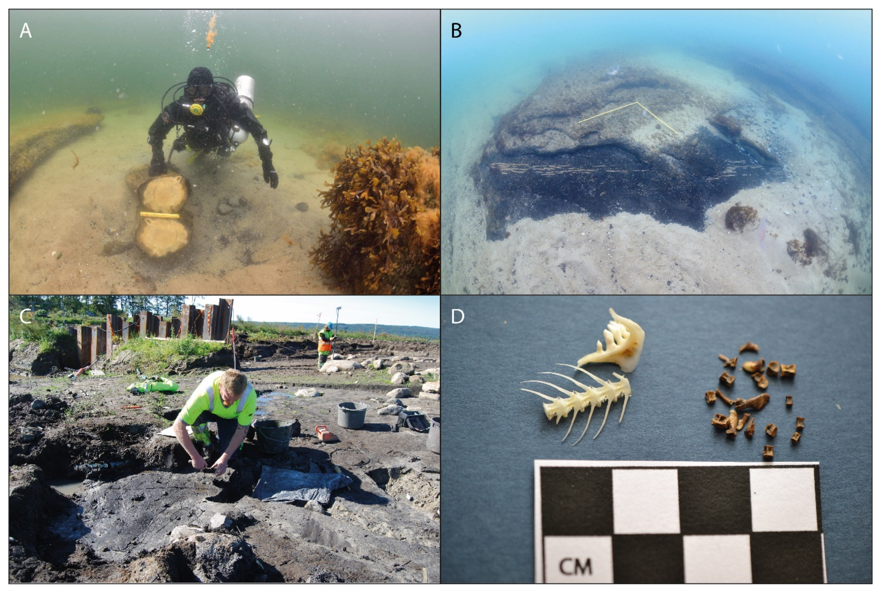 Quaternary 02 00014 g002