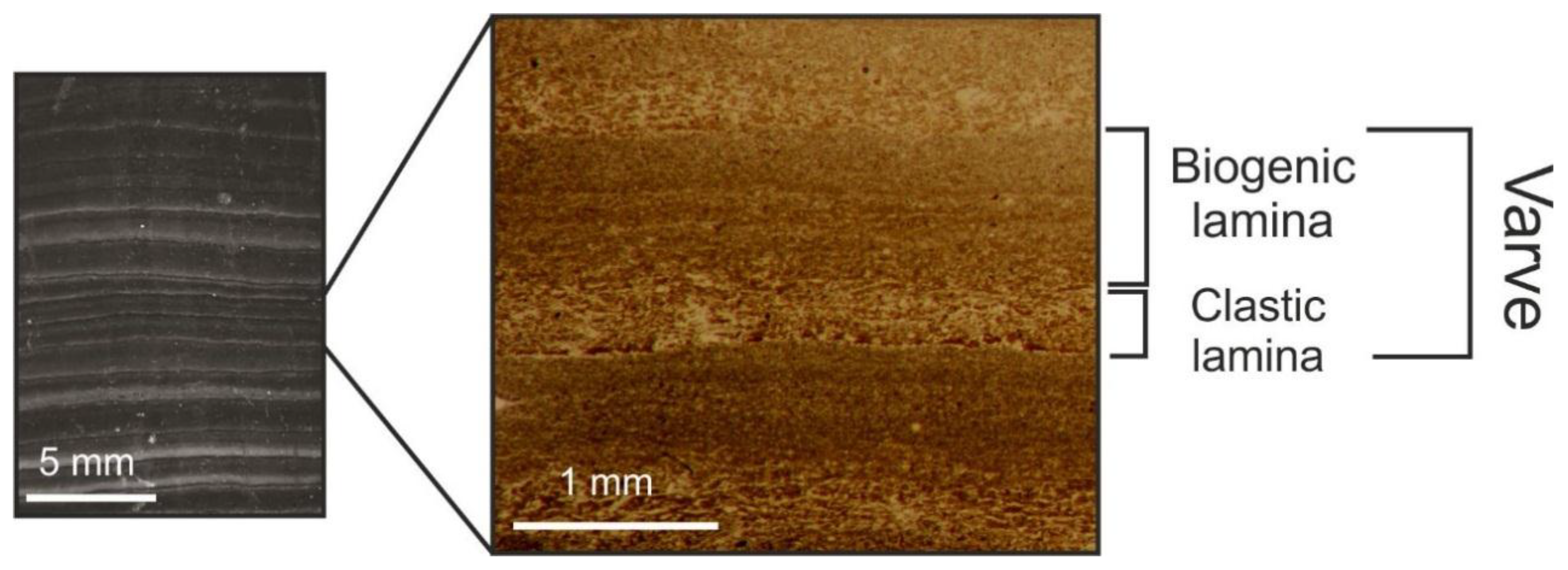 Quaternary 02 00020 g002