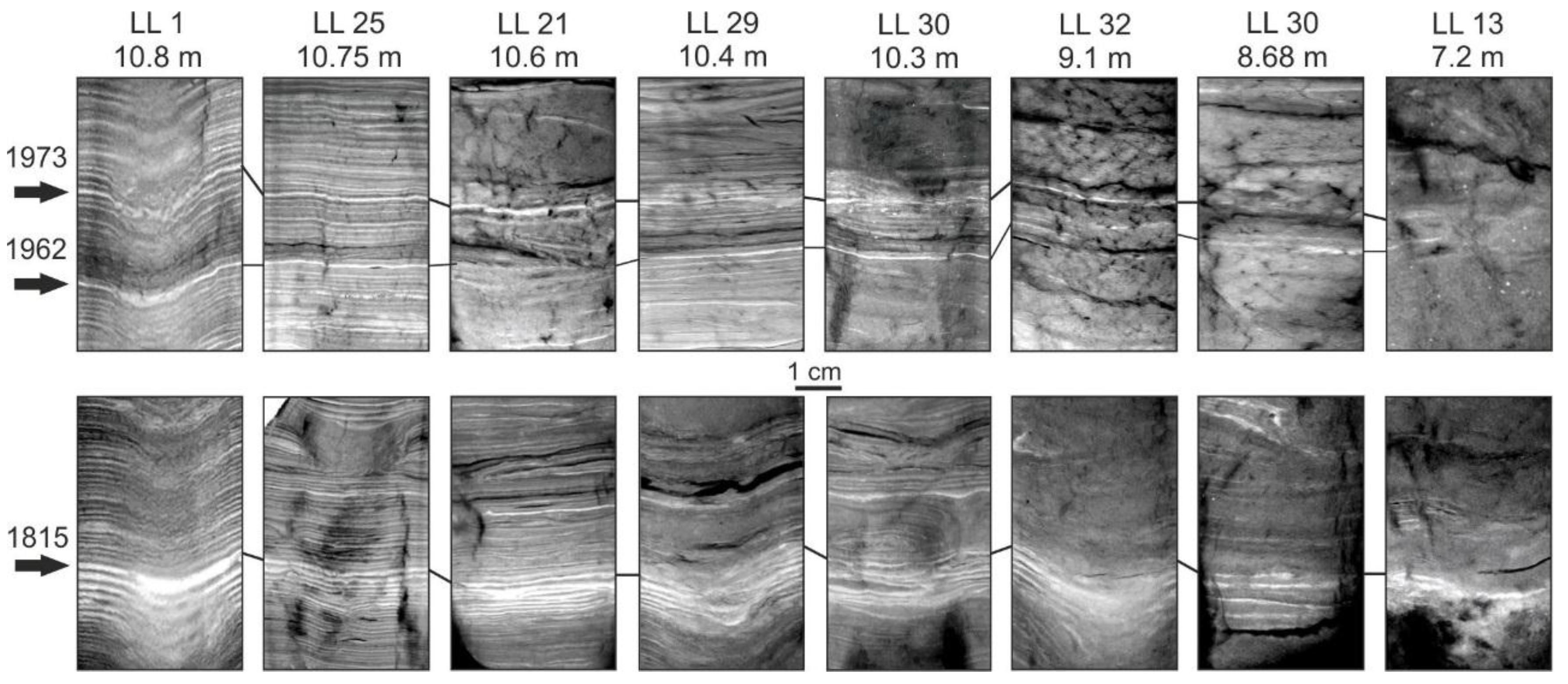 Quaternary 02 00020 g004