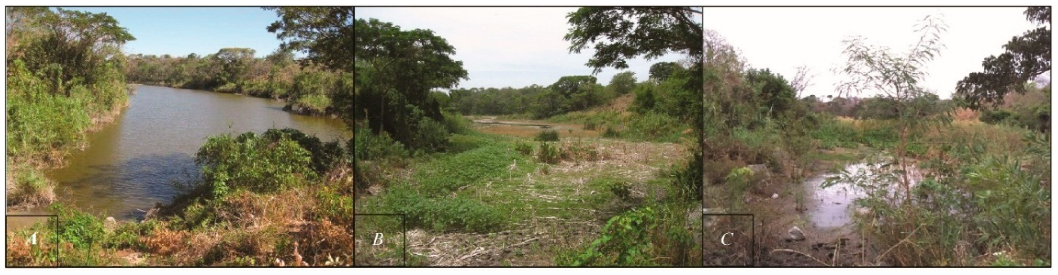 Quaternary 02 00025 g002