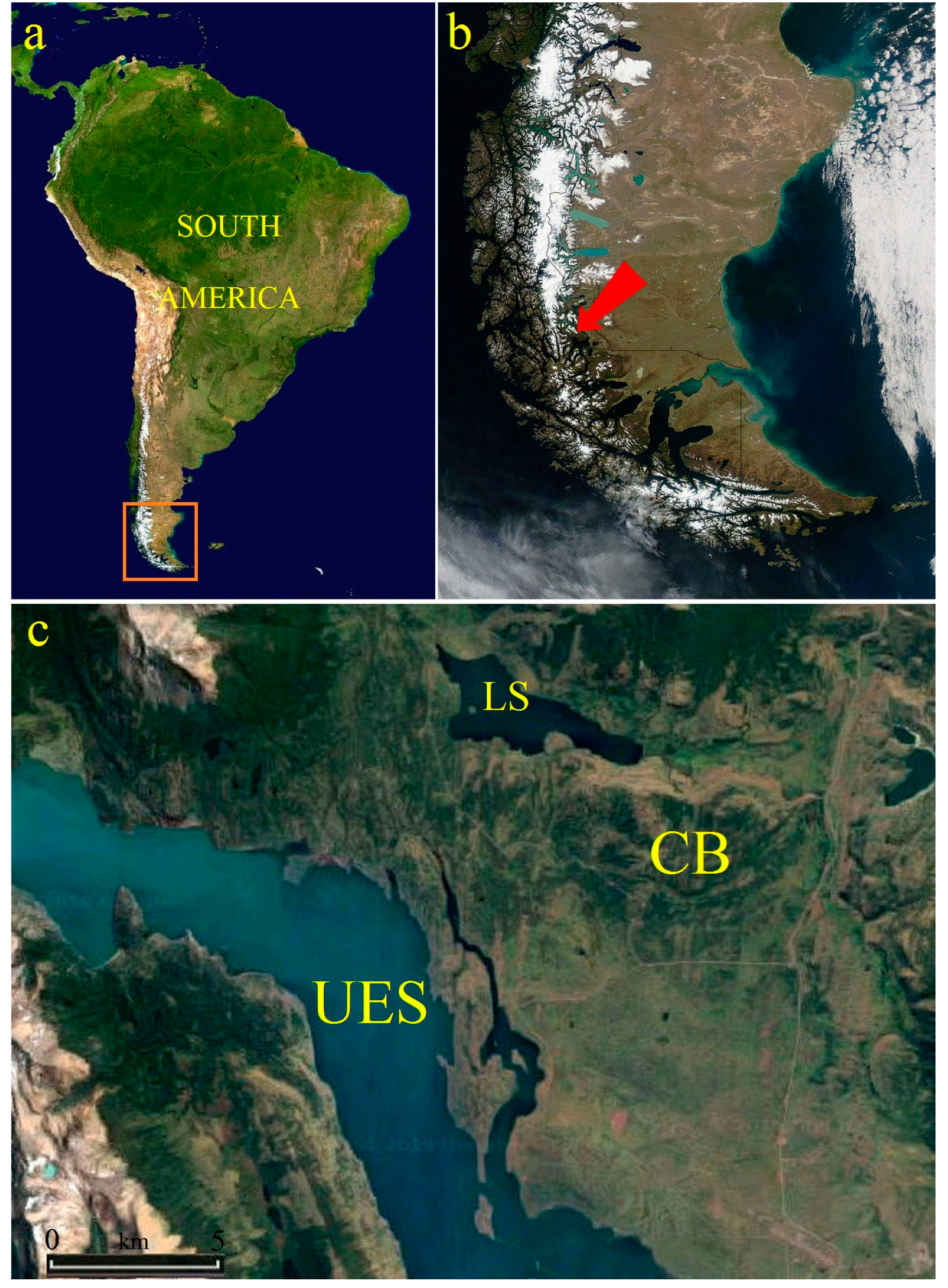 Quaternary 02 00028 g001