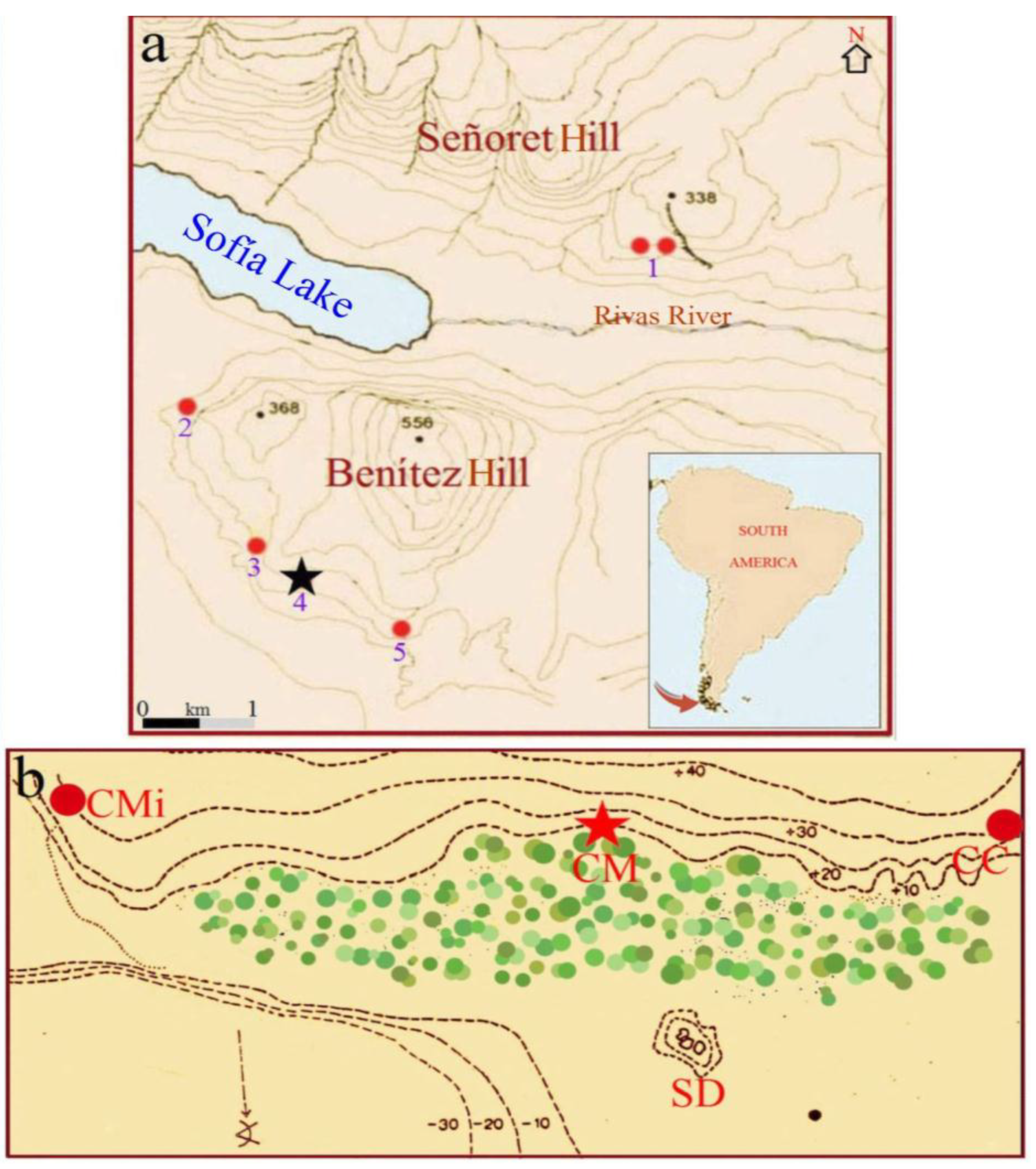 Quaternary 02 00028 g003