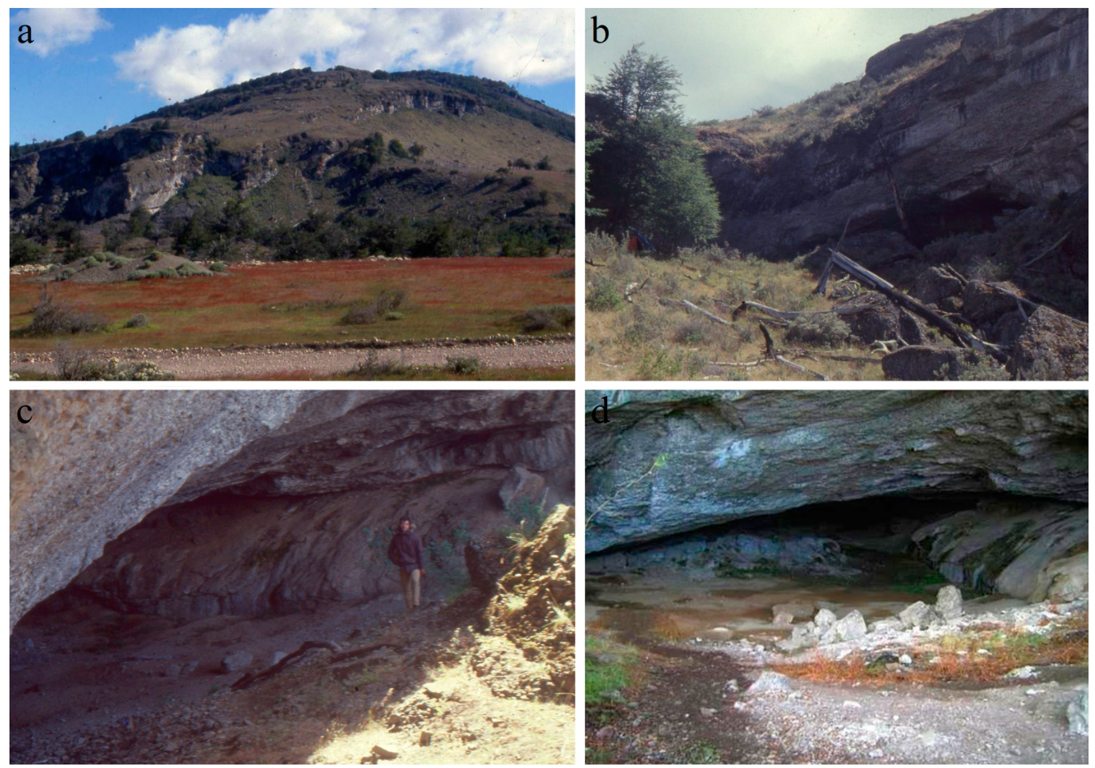 Quaternary 02 00028 g004