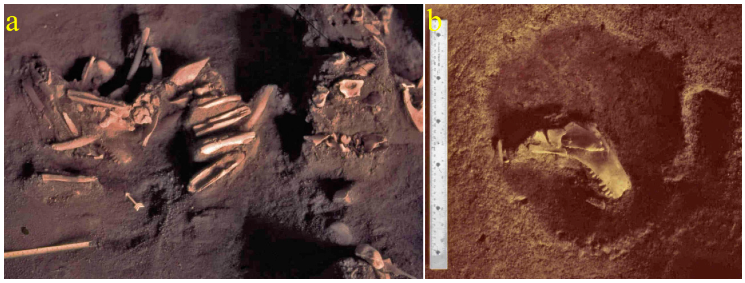 Quaternary 02 00028 g009